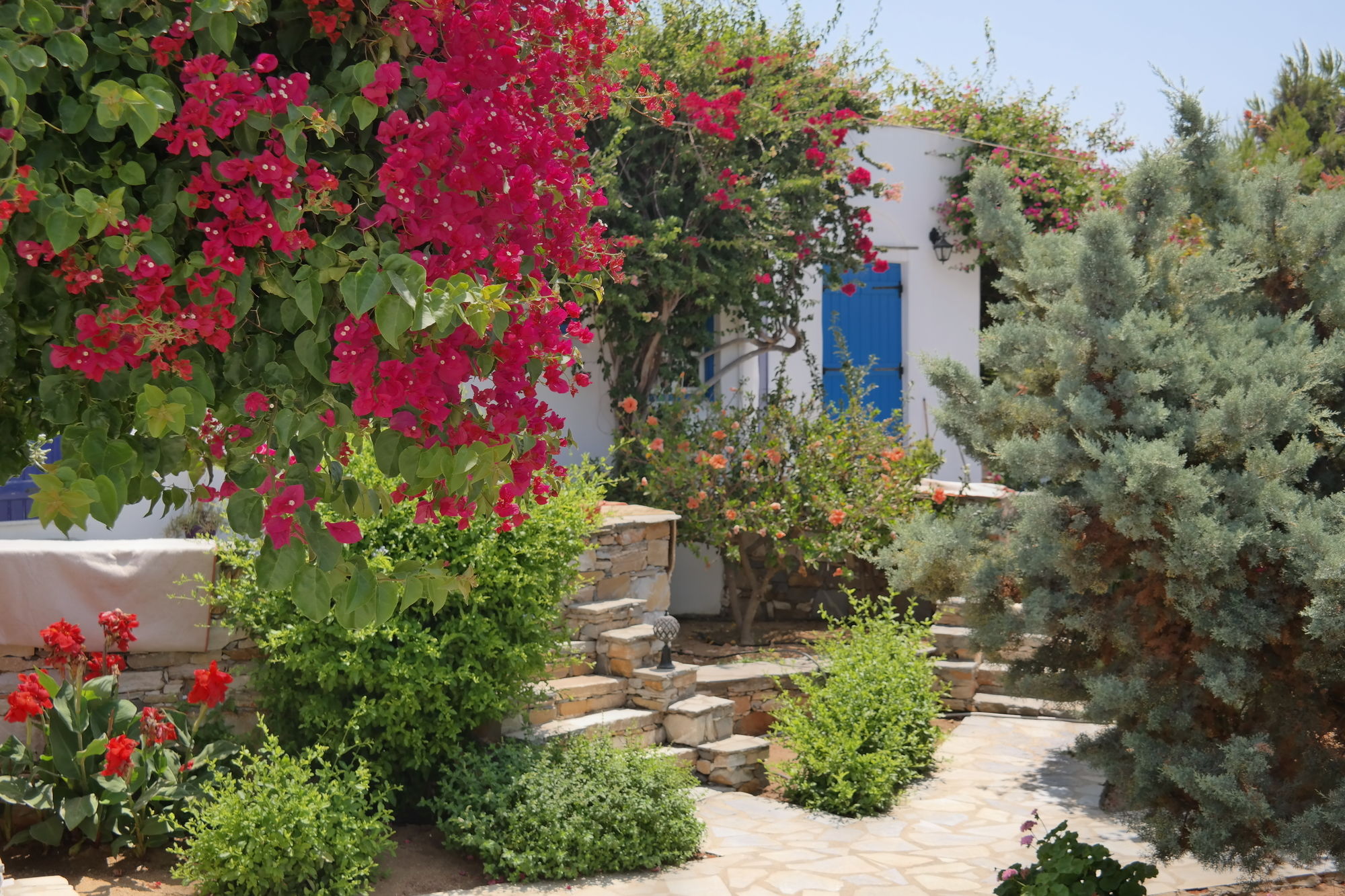 Фото Sun Rock Boutique Suites