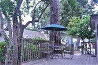 Фото Carmel Resort Inn