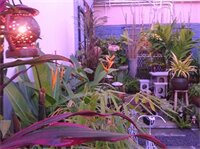 Фото Daddy's Home Guesthouse Hua Hin