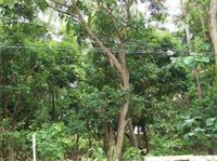 Фото Bluesky Guest House