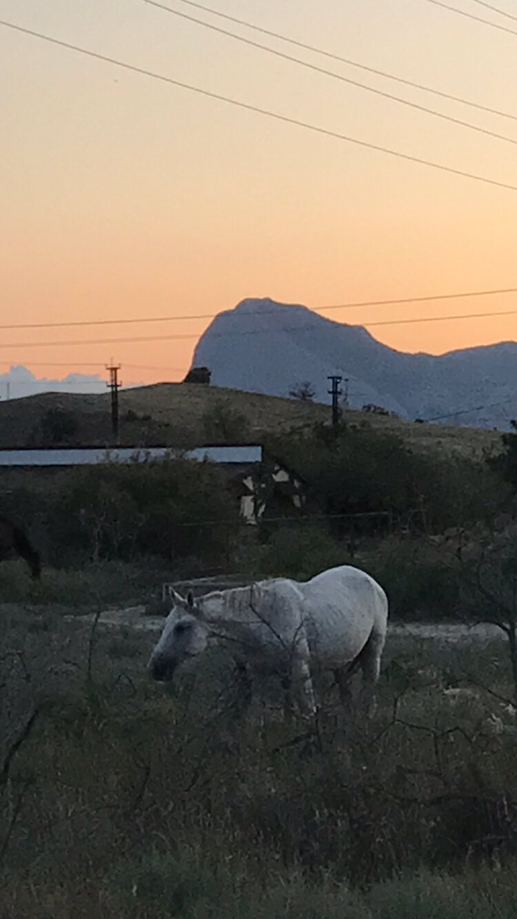 Фото Эко Дача Вилла Эмма