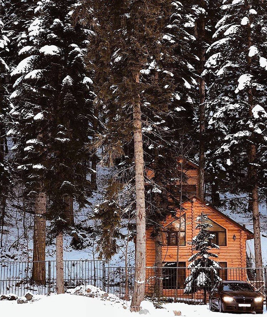 Фото Домик в лесу