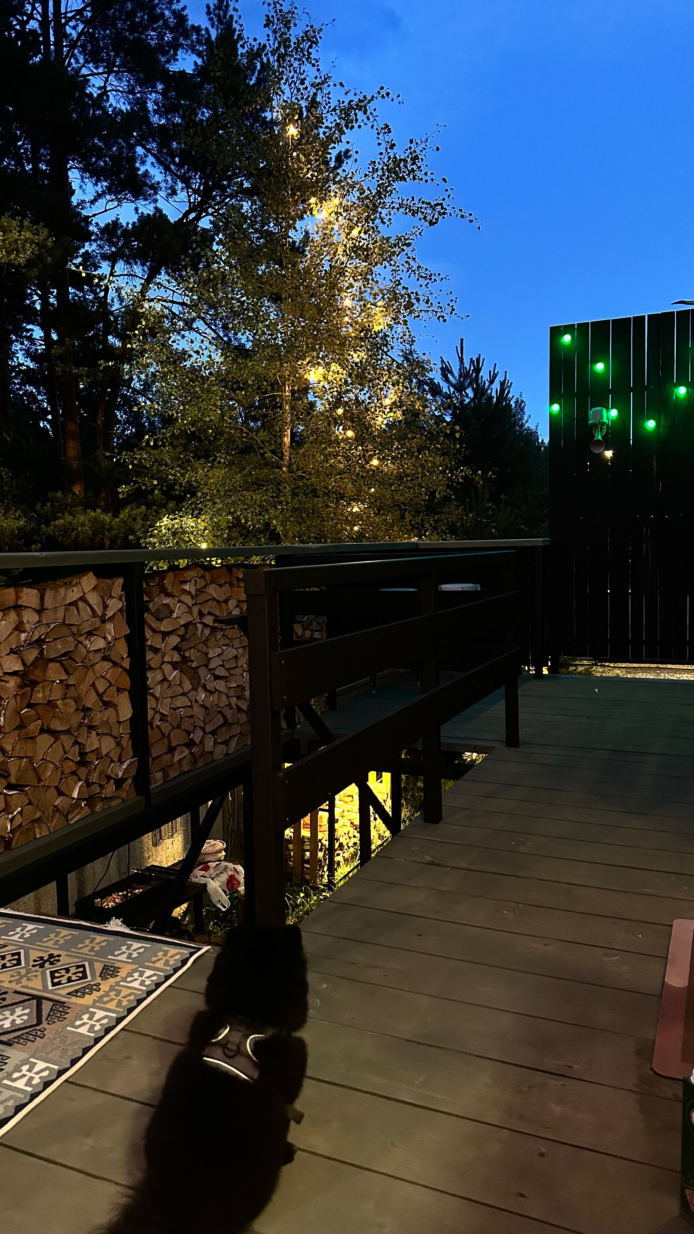 Фото А в лесу