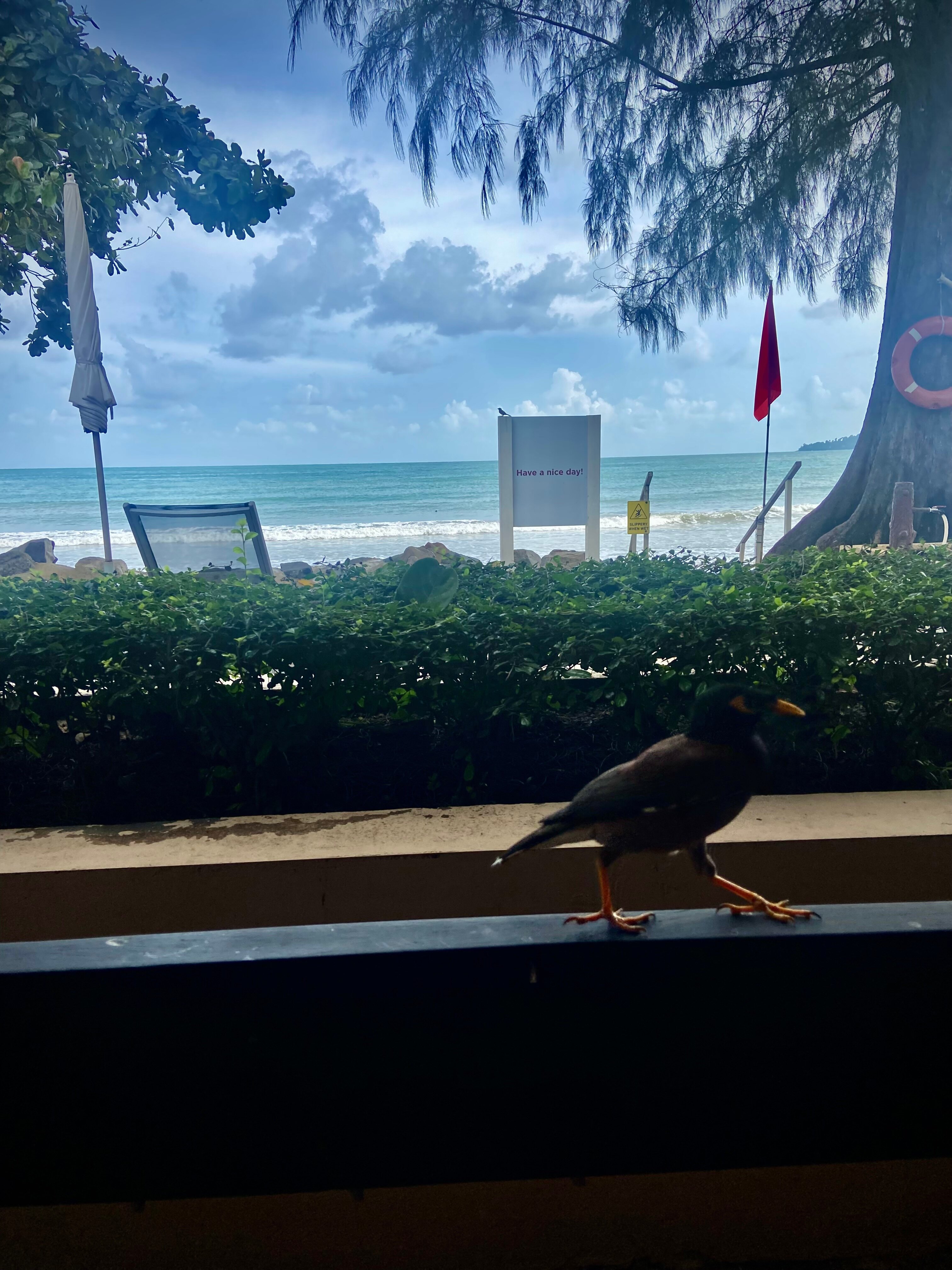 Фото Best Western Premier Bangtao Beach Resort & SPA