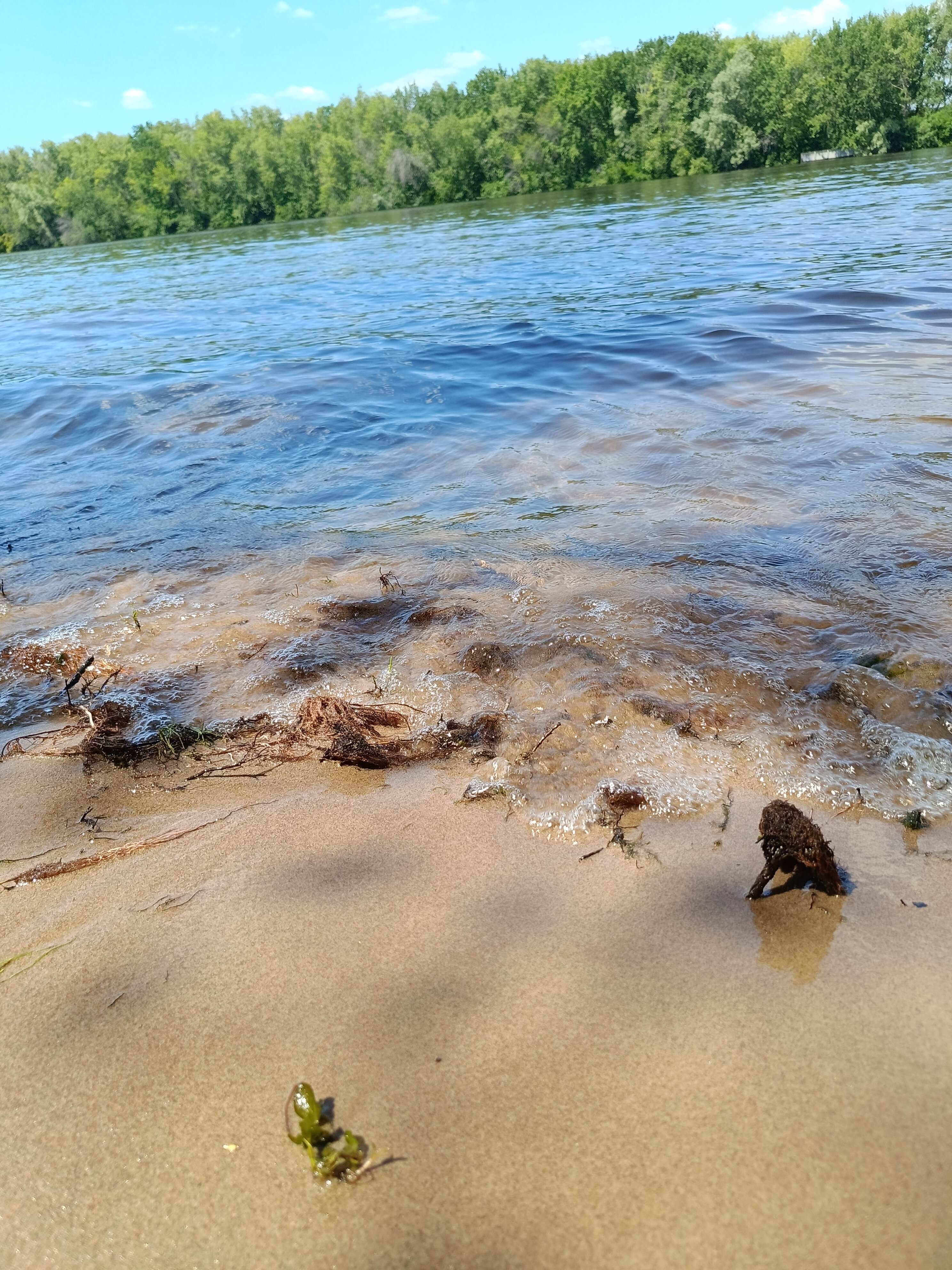 Фото Спектр