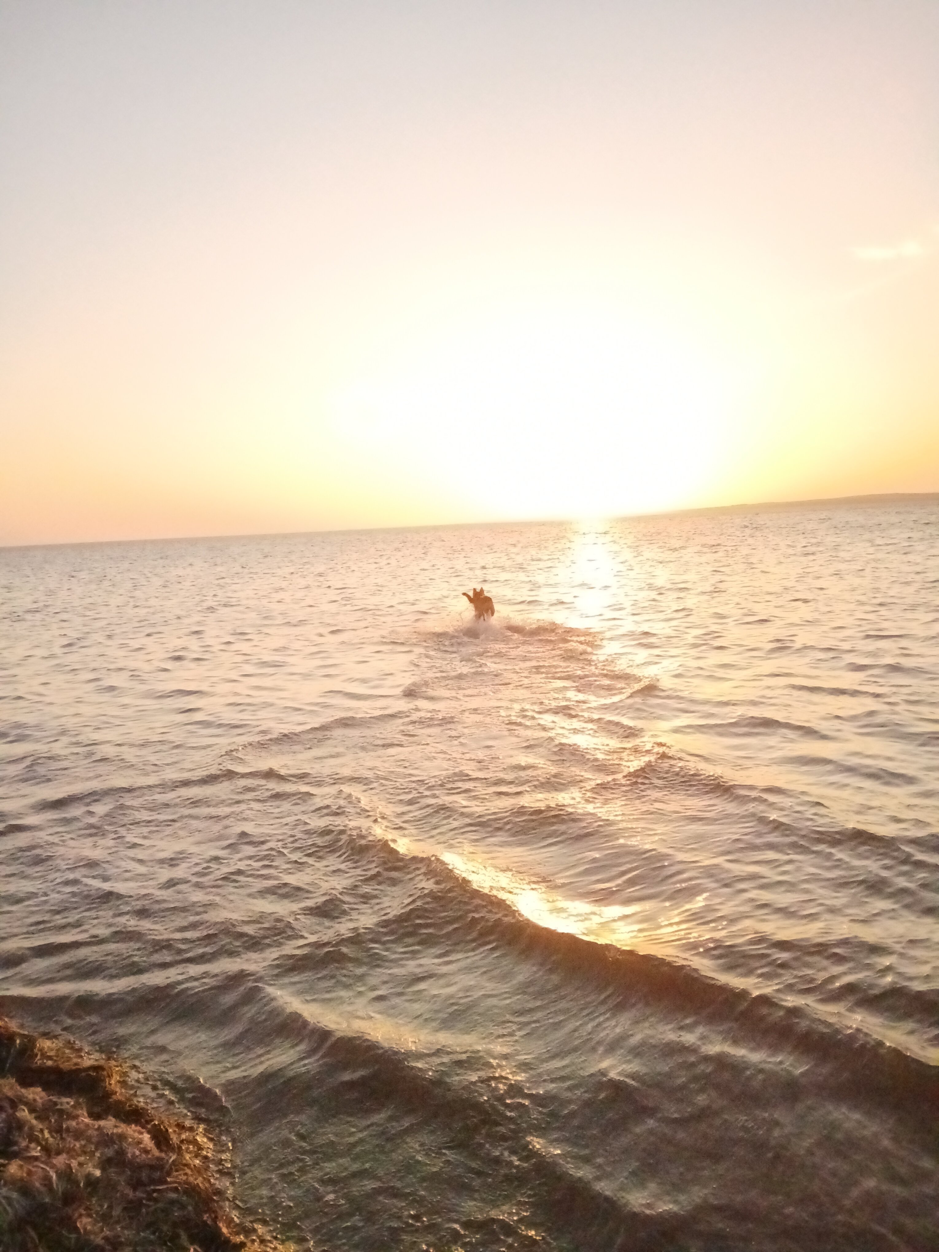 Фото Таманский берег