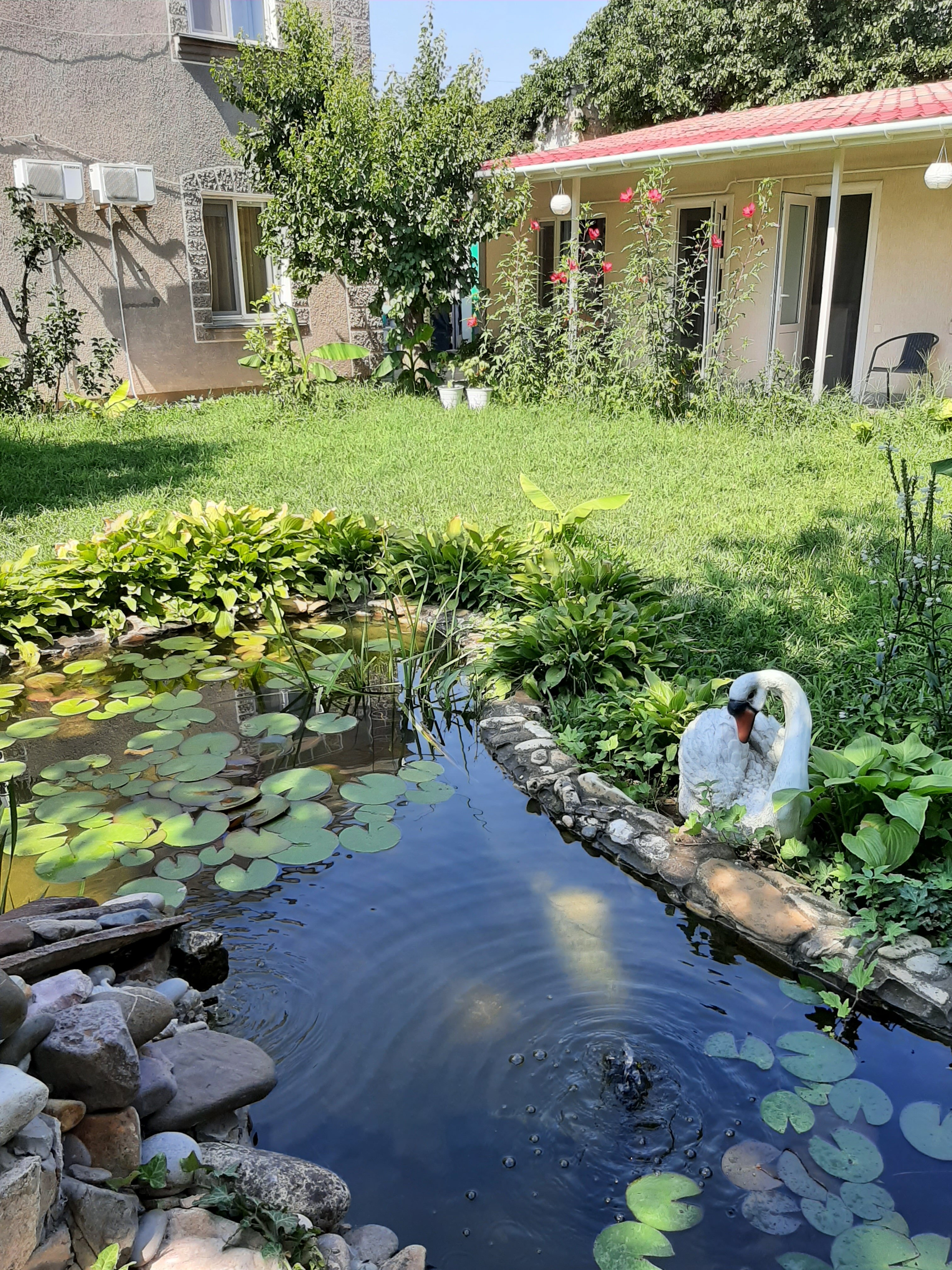 Фото Домики в саду