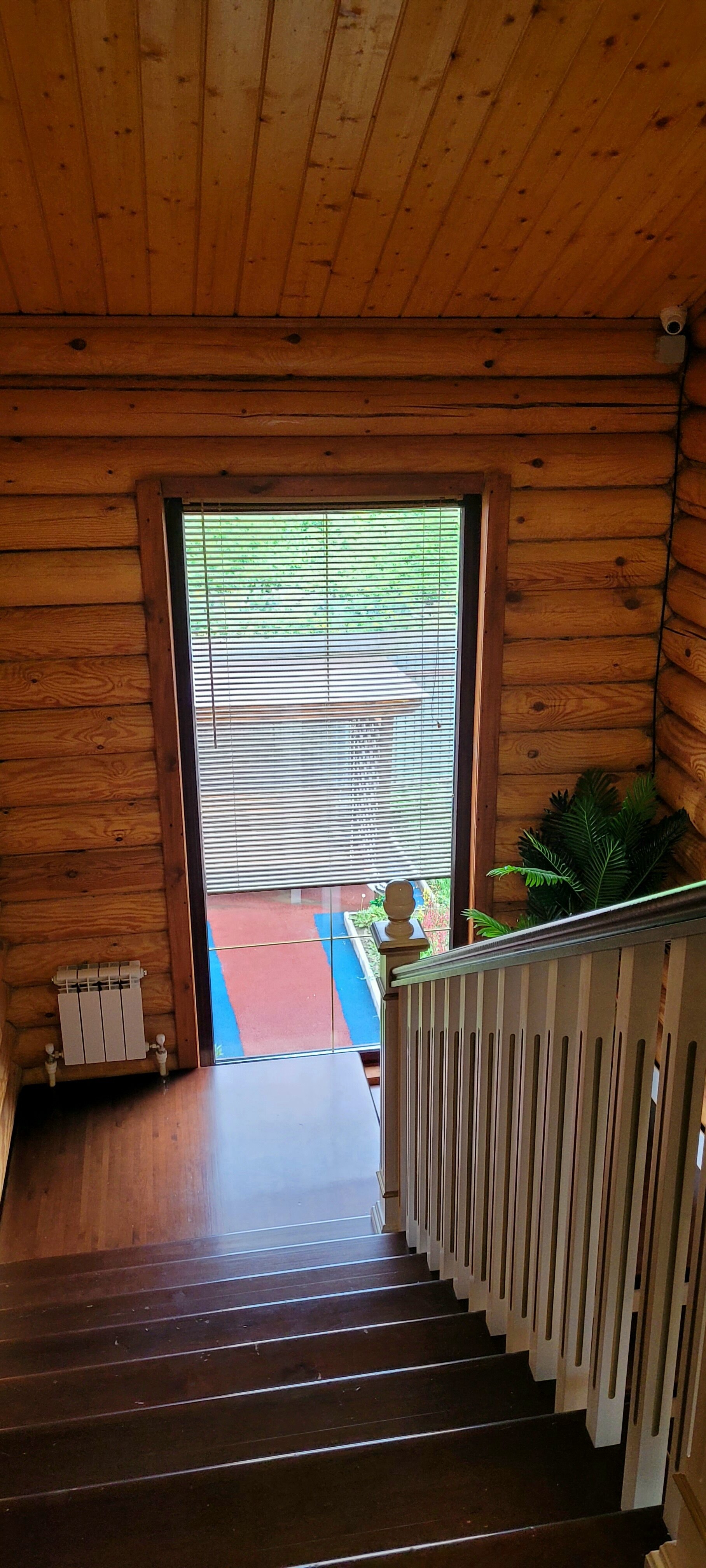 Фото Аура Света