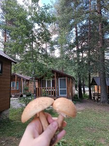 Tau House
