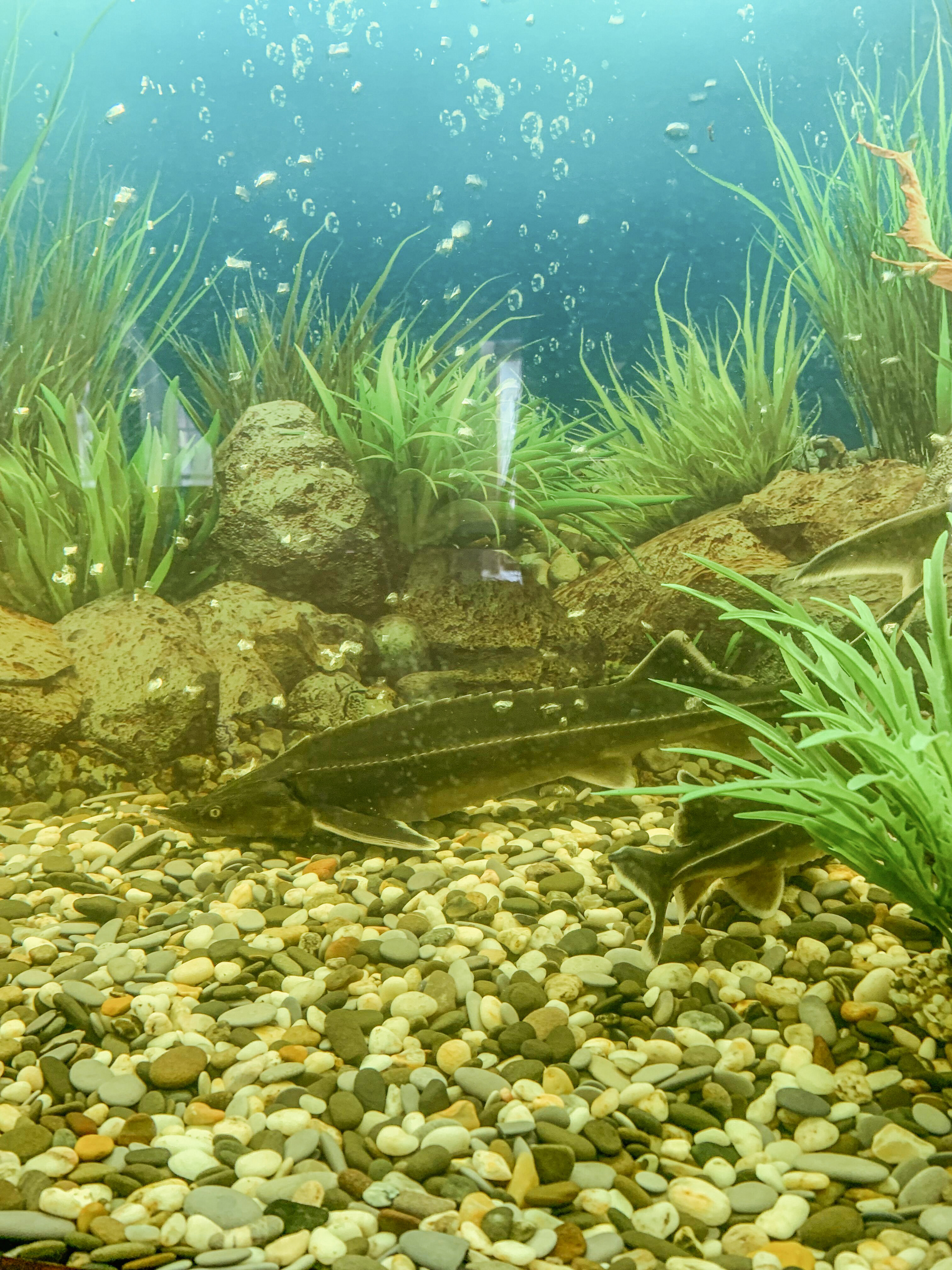 Фото Семейная Усадьба