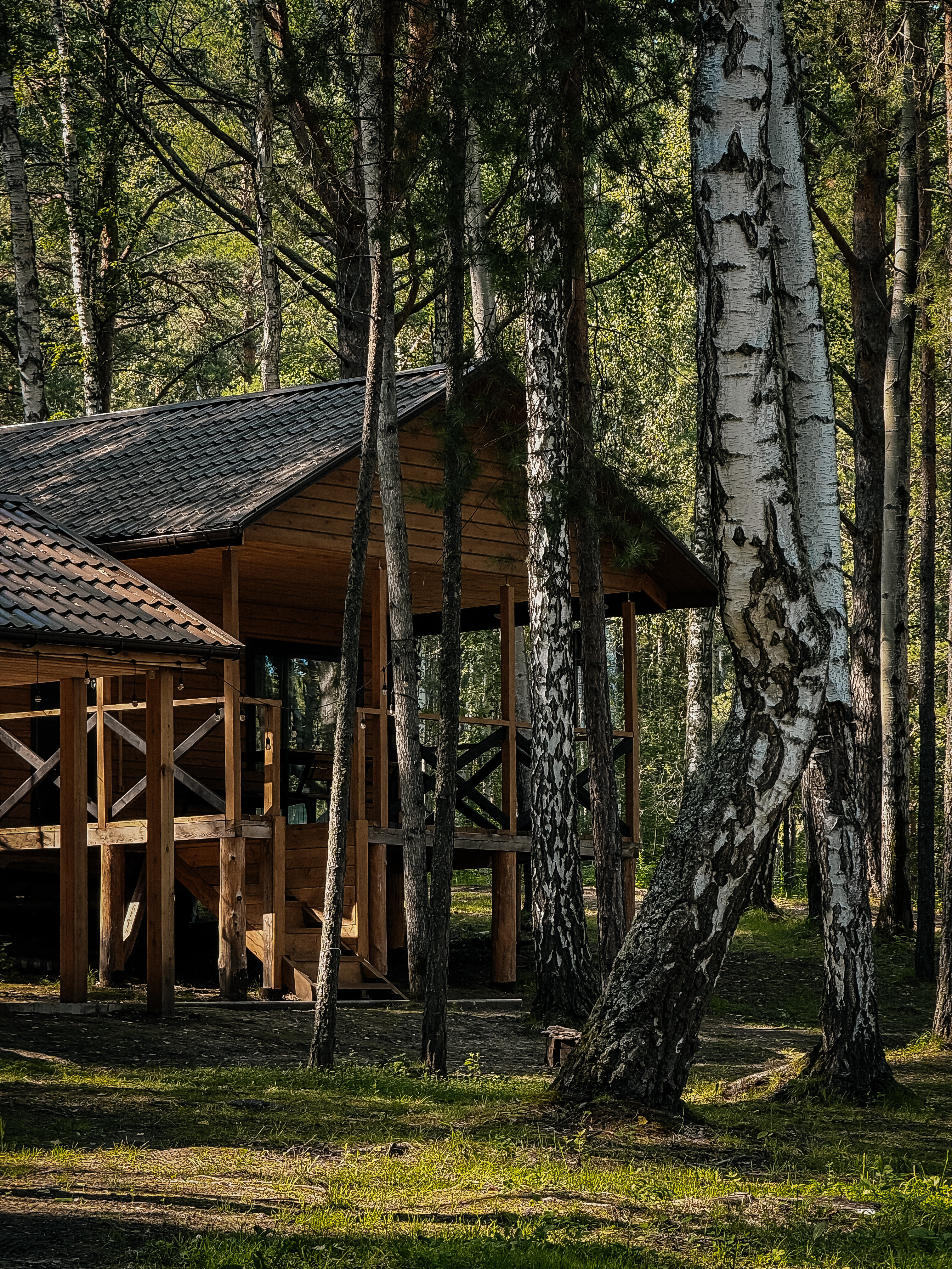 Фото Место под солнцем