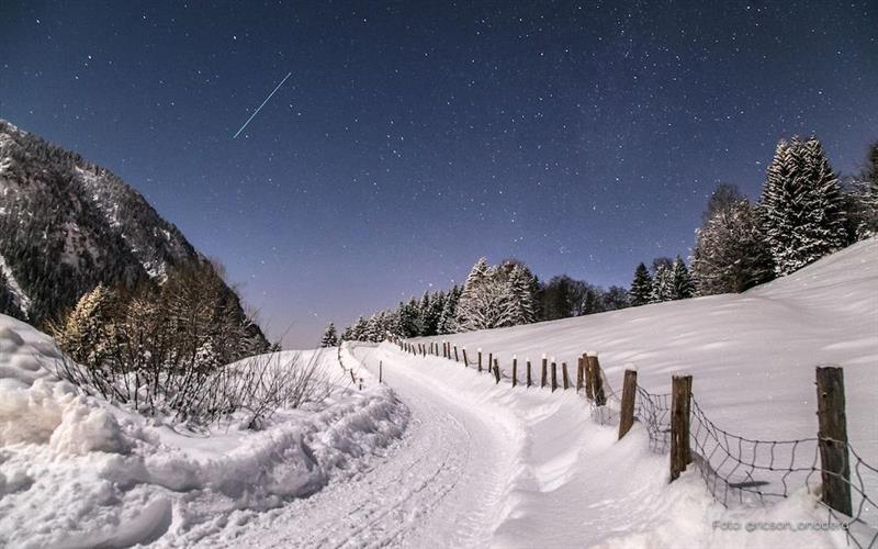 Фото Hotel Blaue Gams