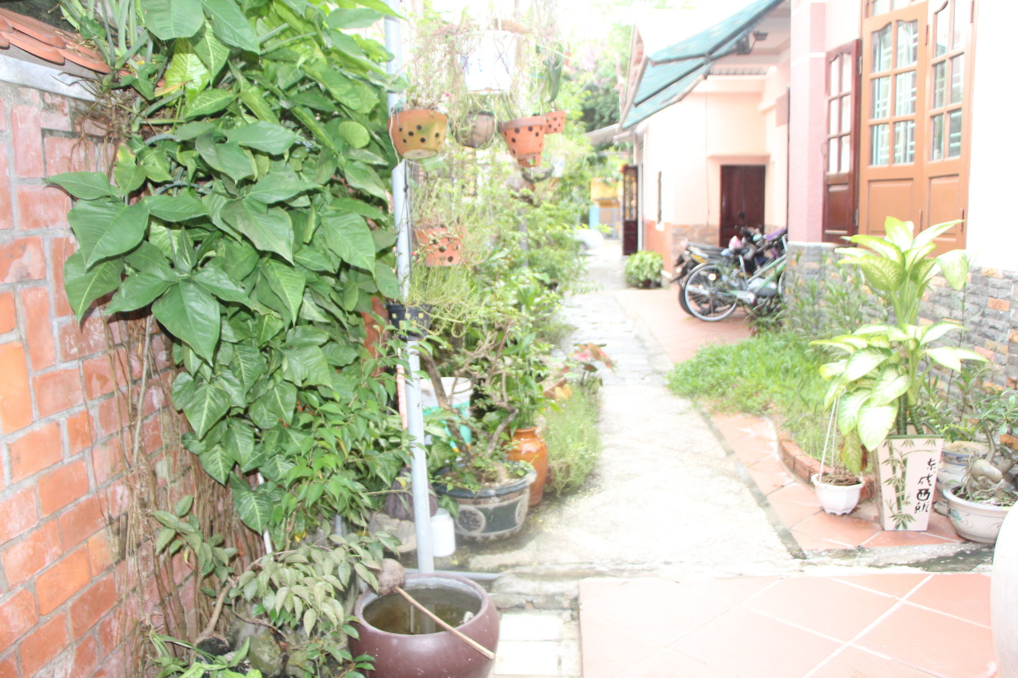 Фото Red Ceramics Homestay