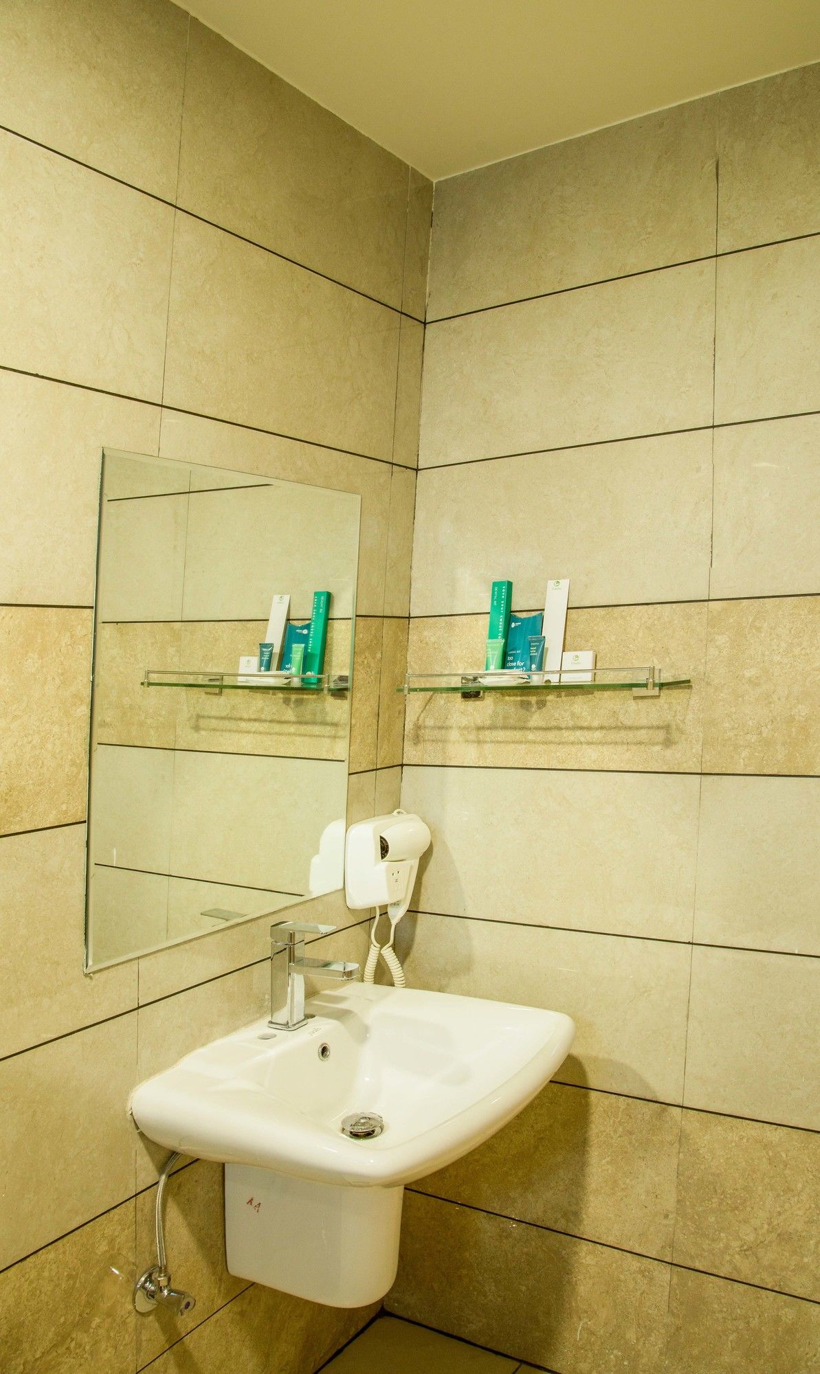 Фото Hotel Reva Regency