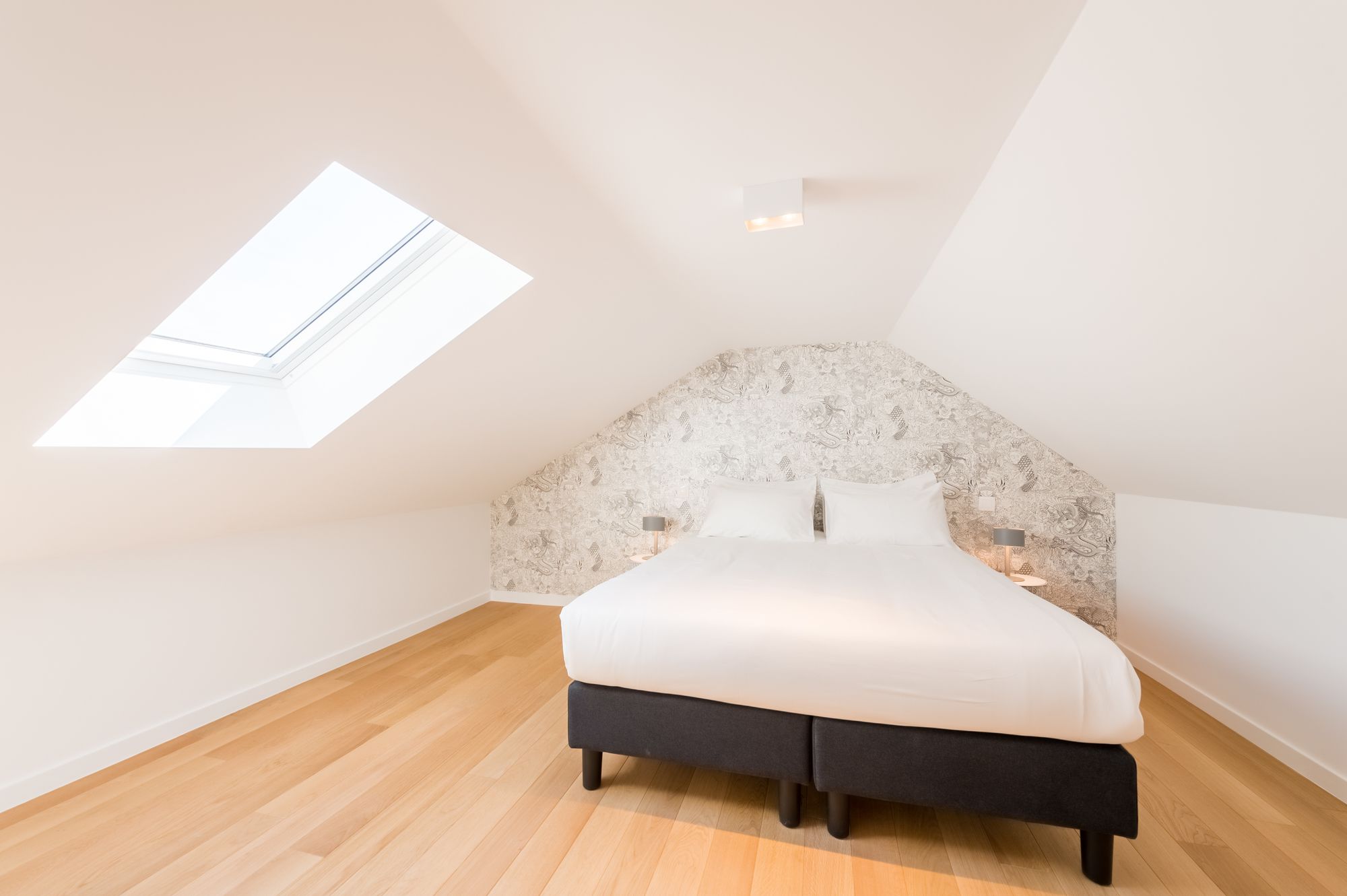 Фото 102220149211