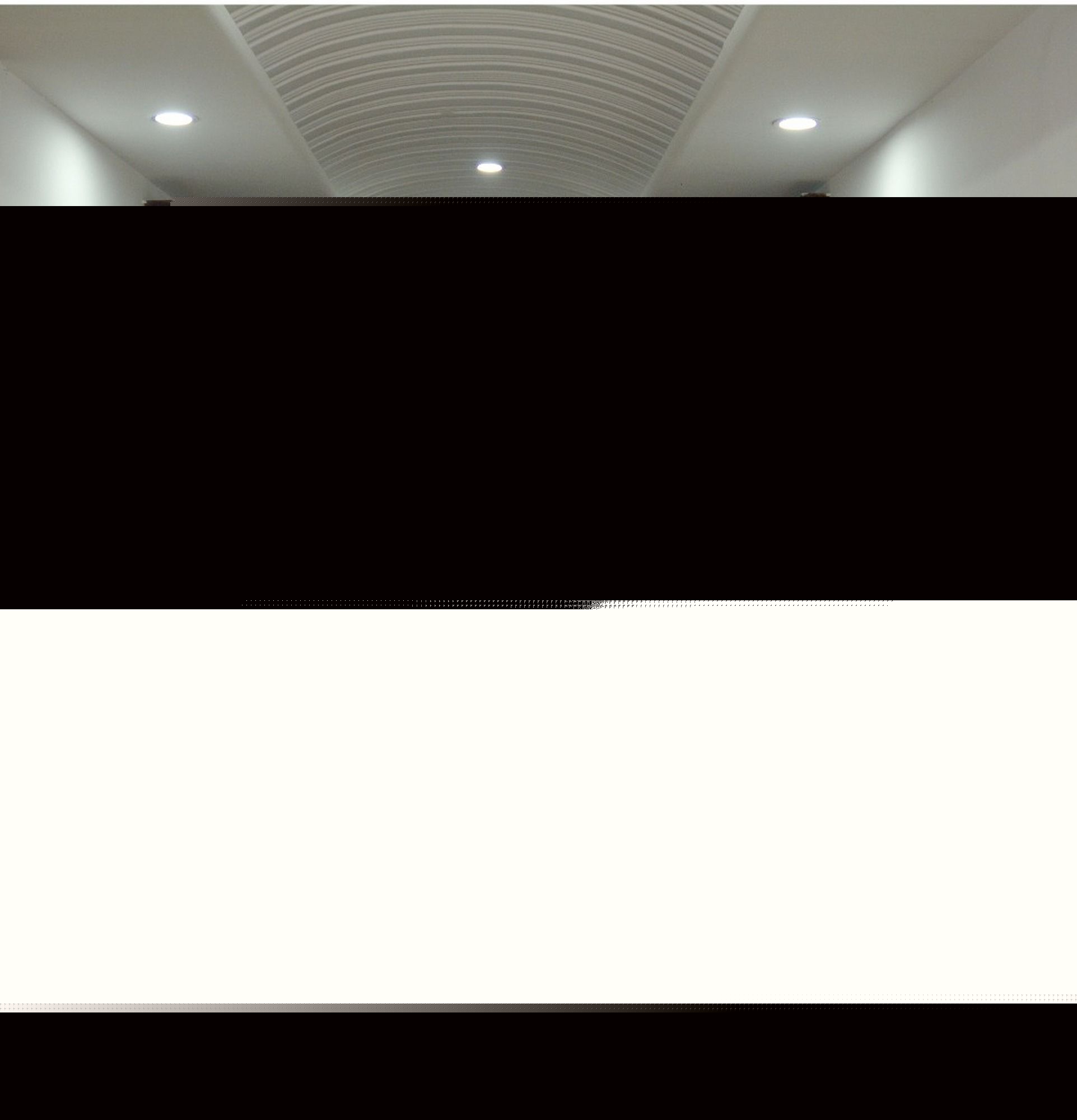 Фото Hotel Redison Blue Area