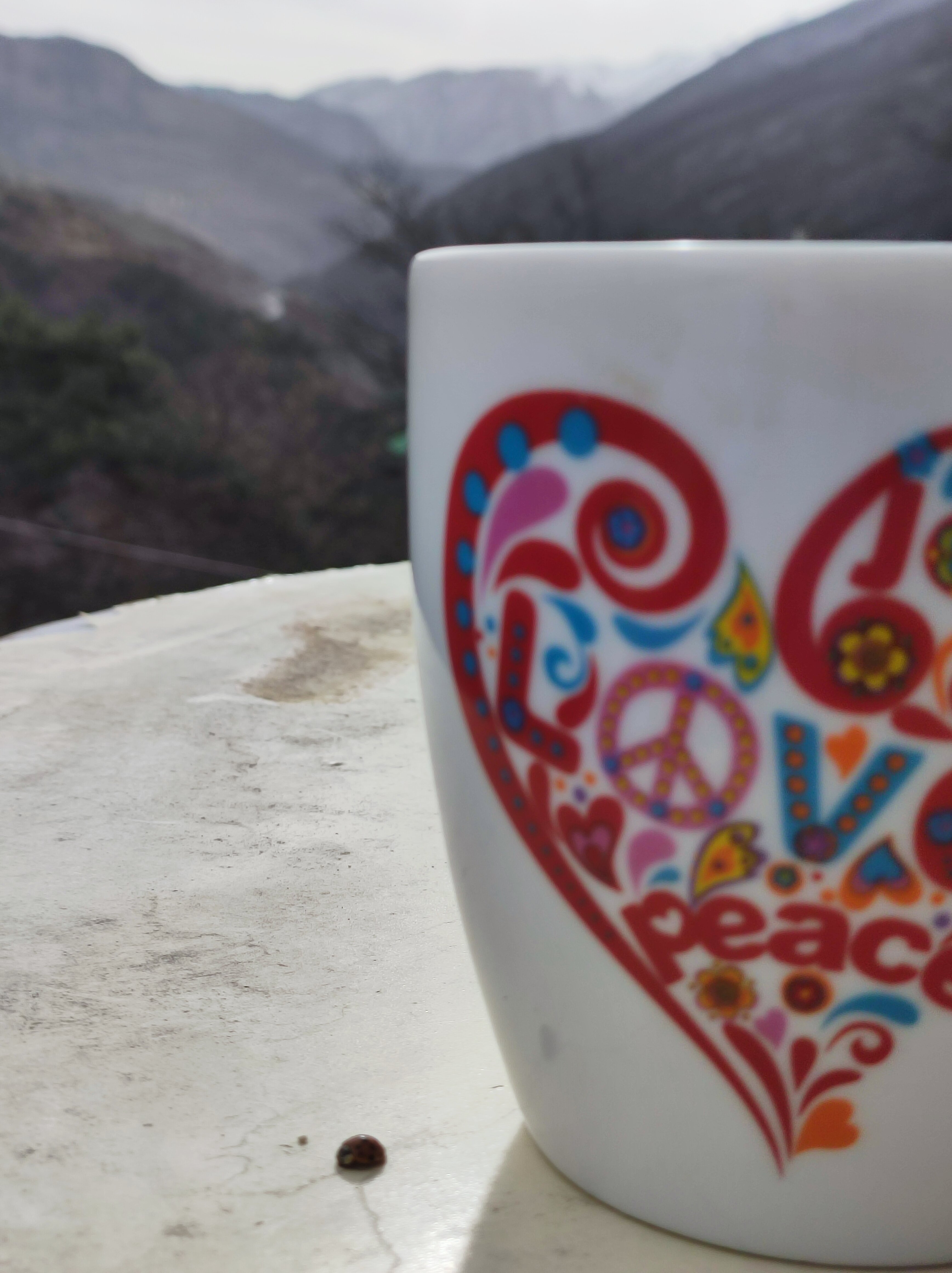 Фото Горы. Маша. Армхи