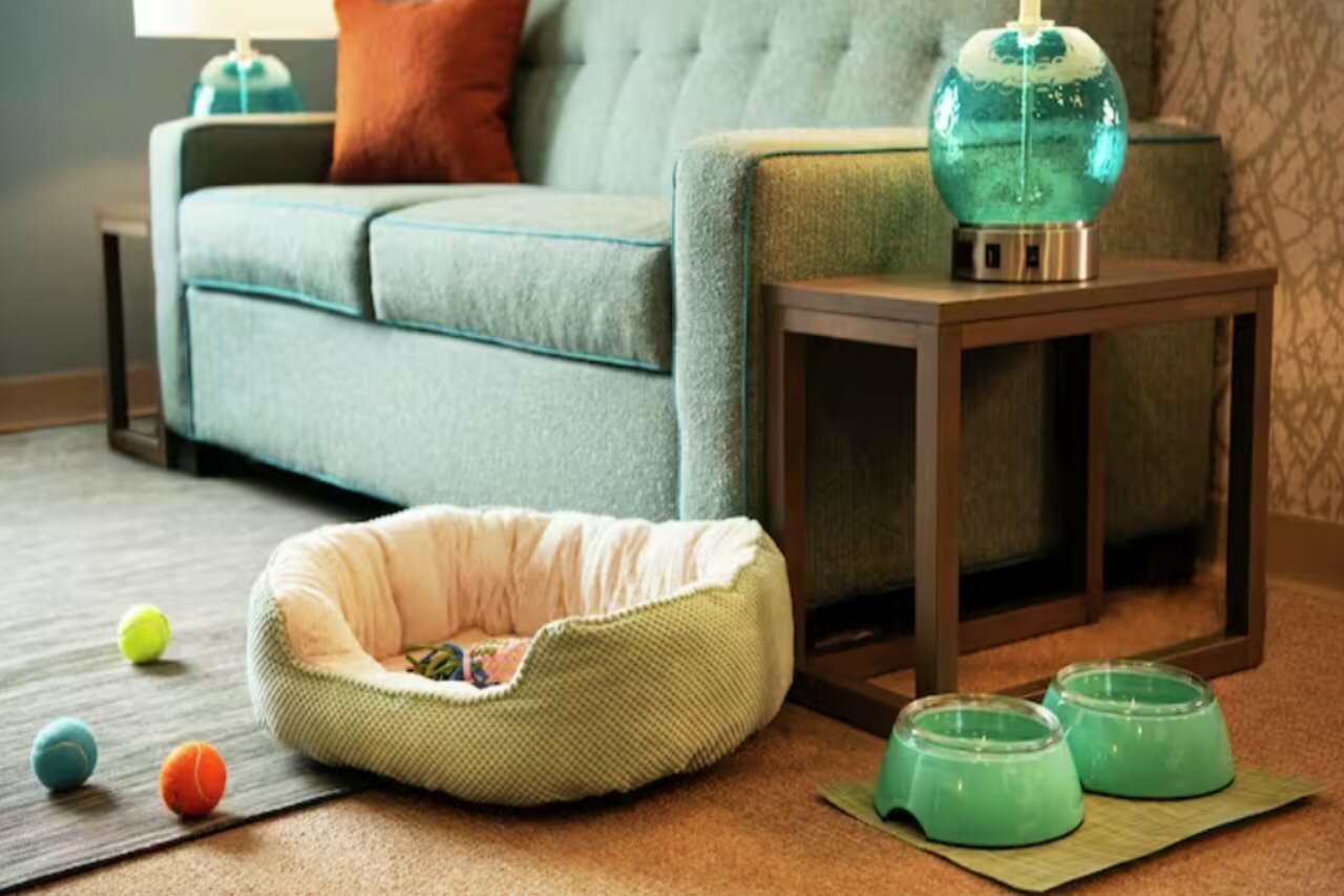 Фото Home2 Suites by Hilton Albuquerque Airport