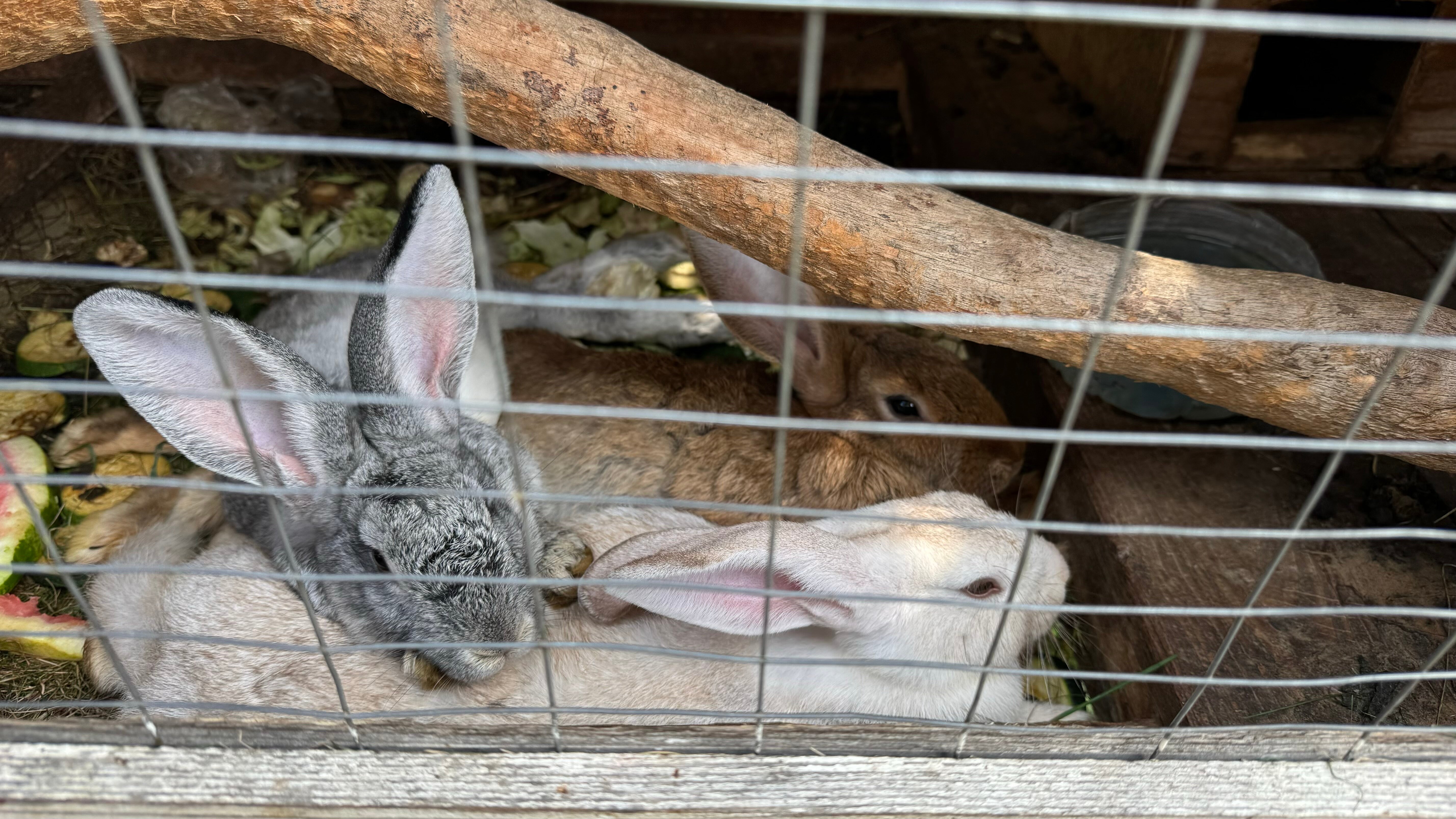 Фото Королевская гавань