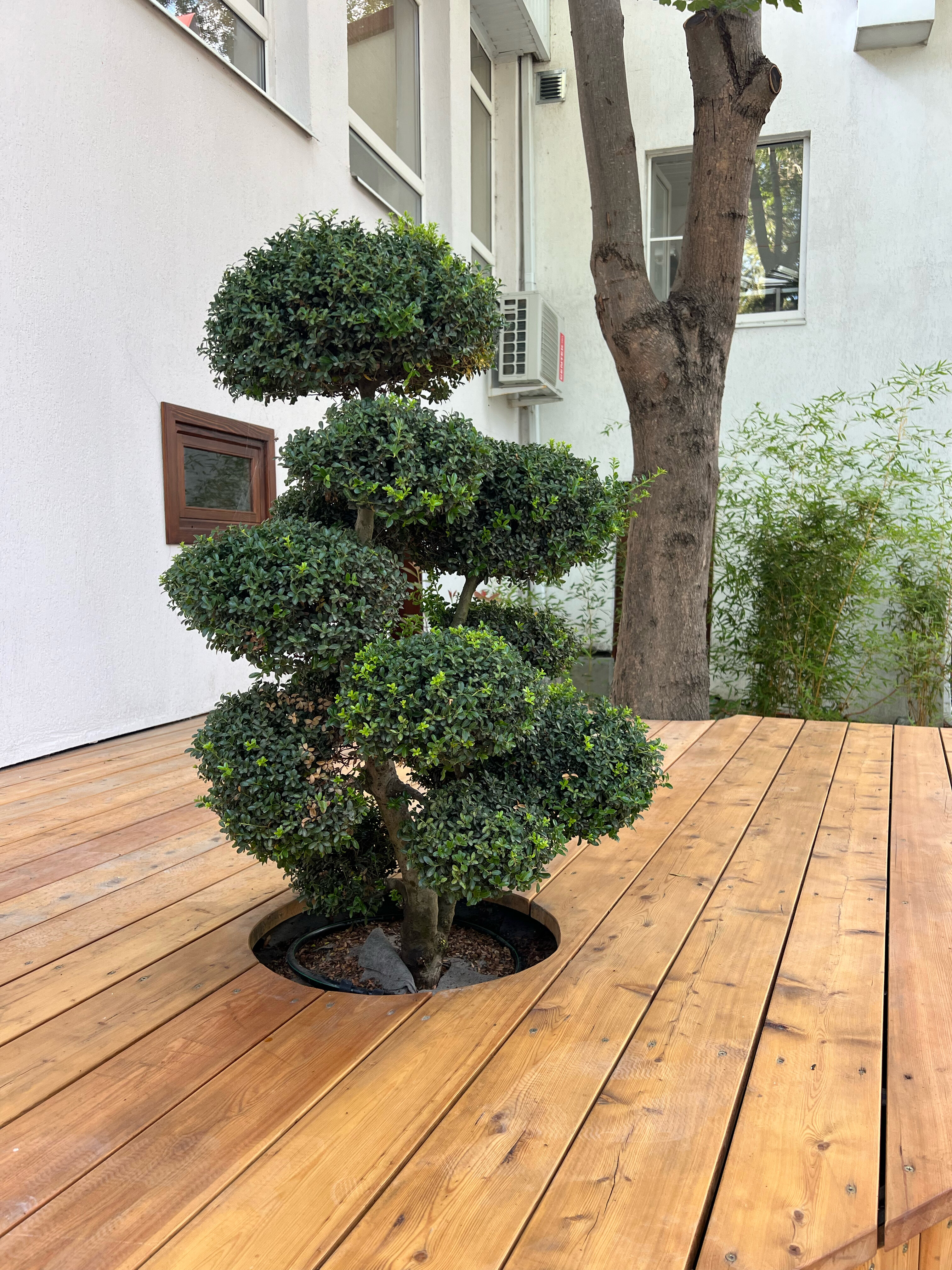 Фото Парк-отель Скала