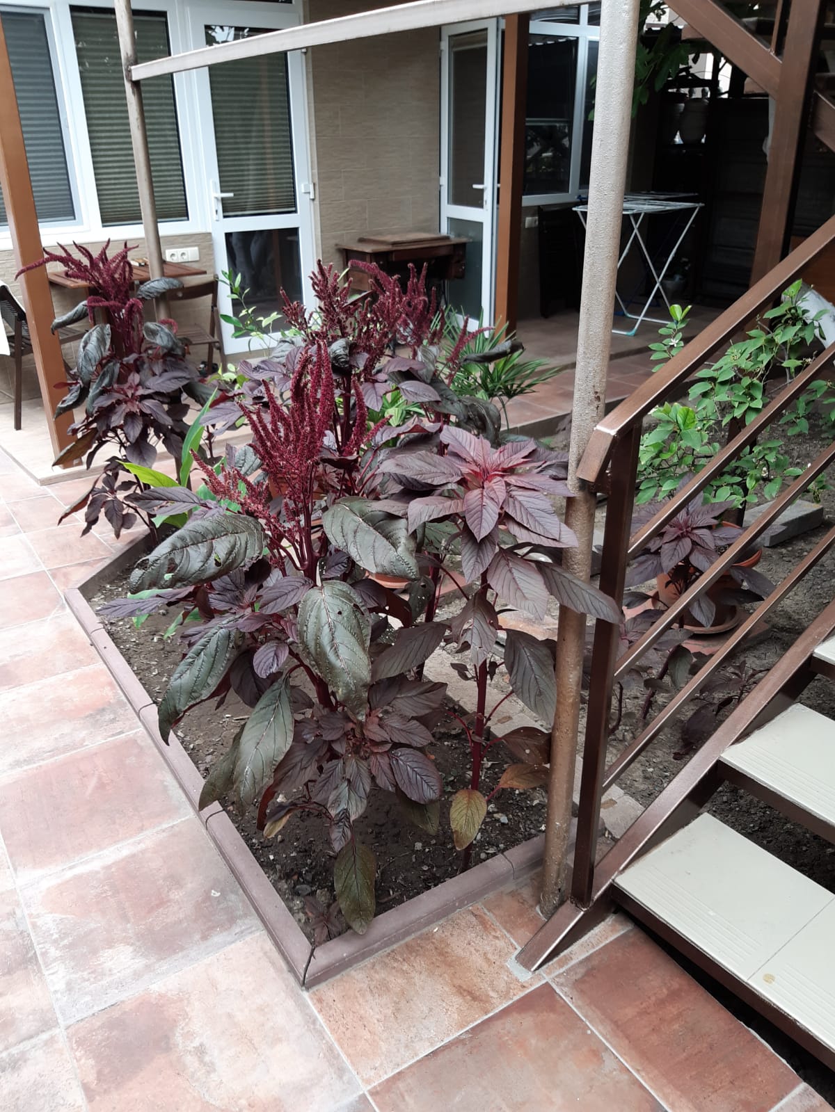 Фото Тайм Аут