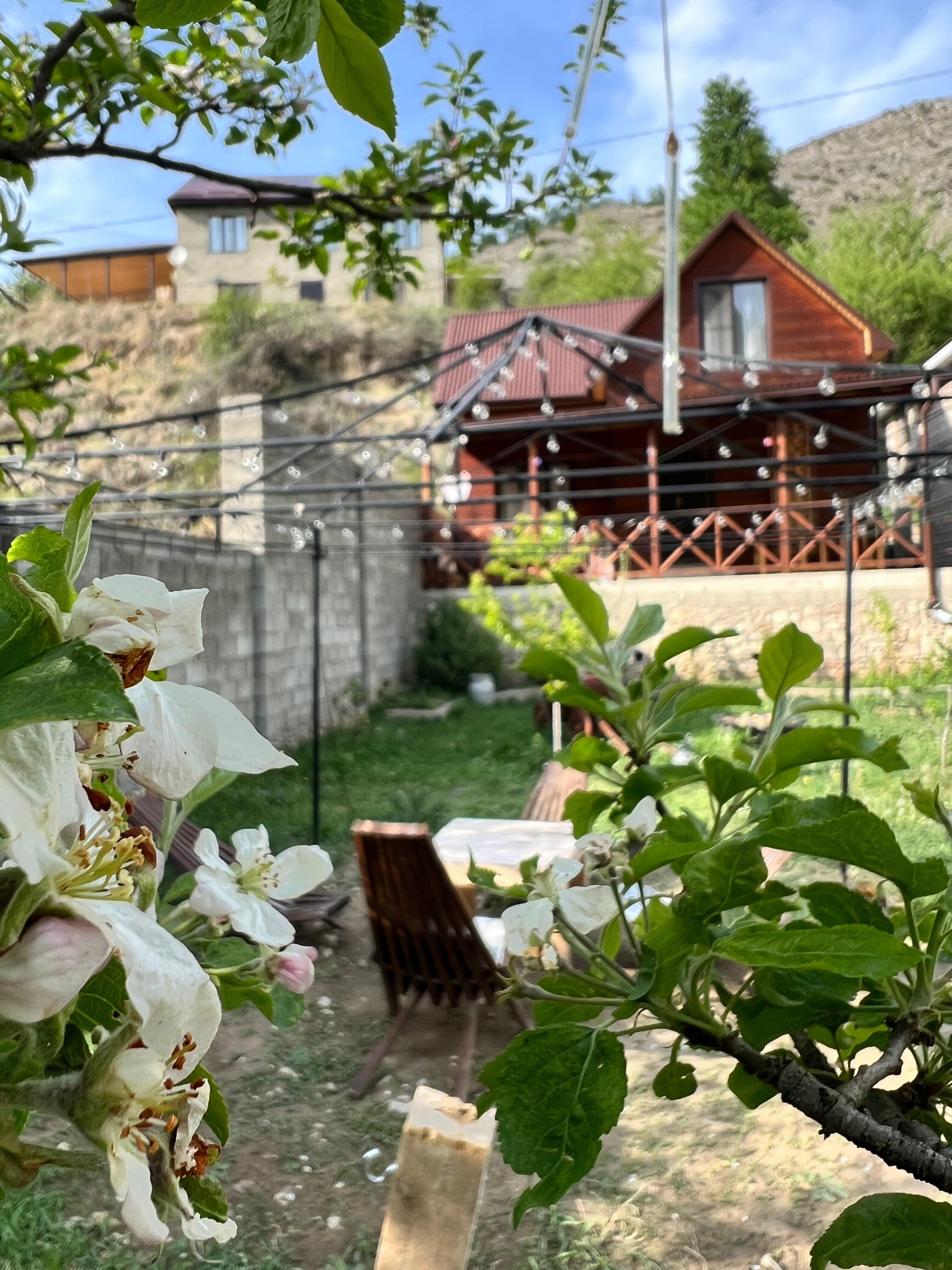 Фото Для друзей