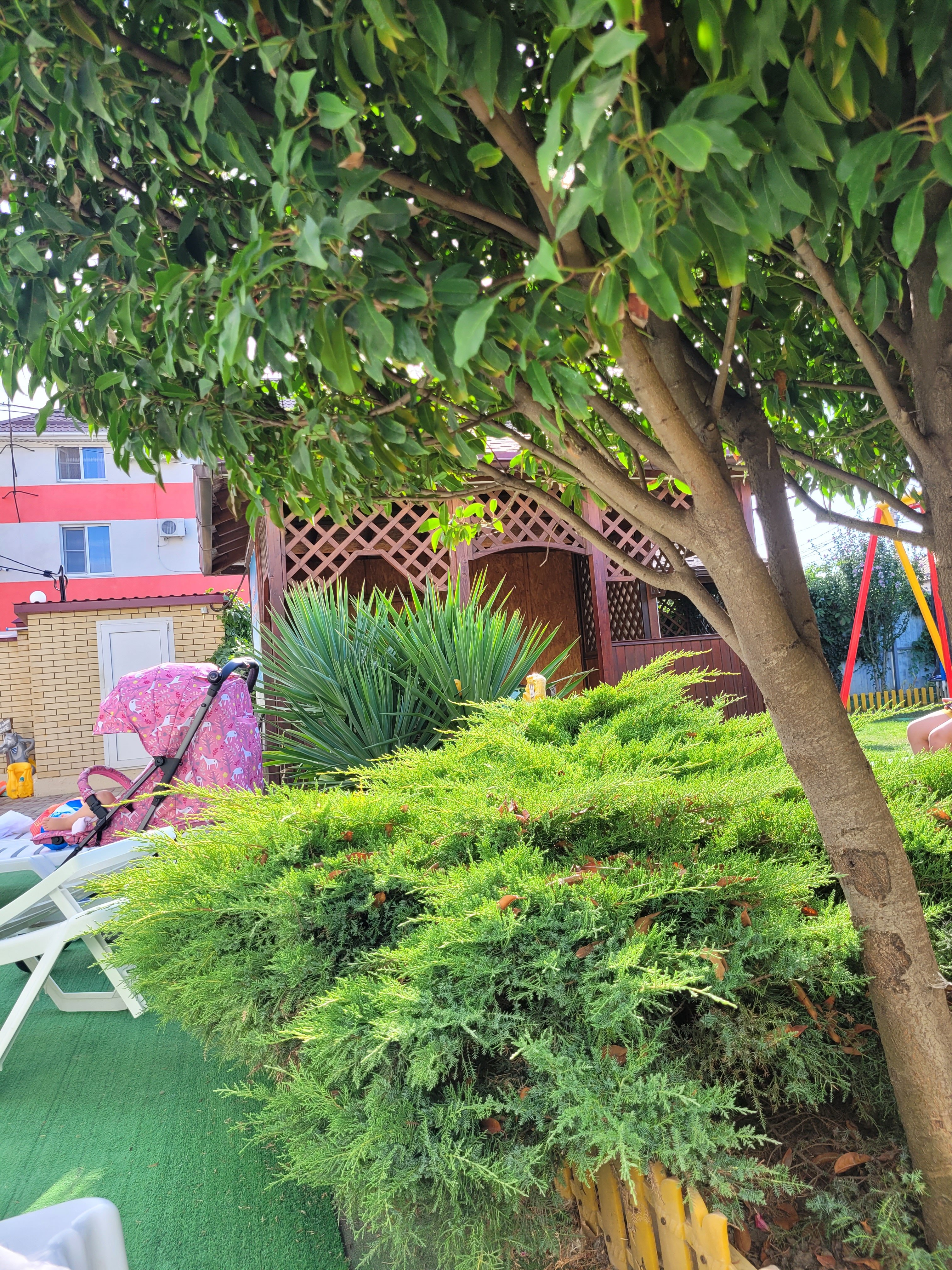 Фото Лучезарный