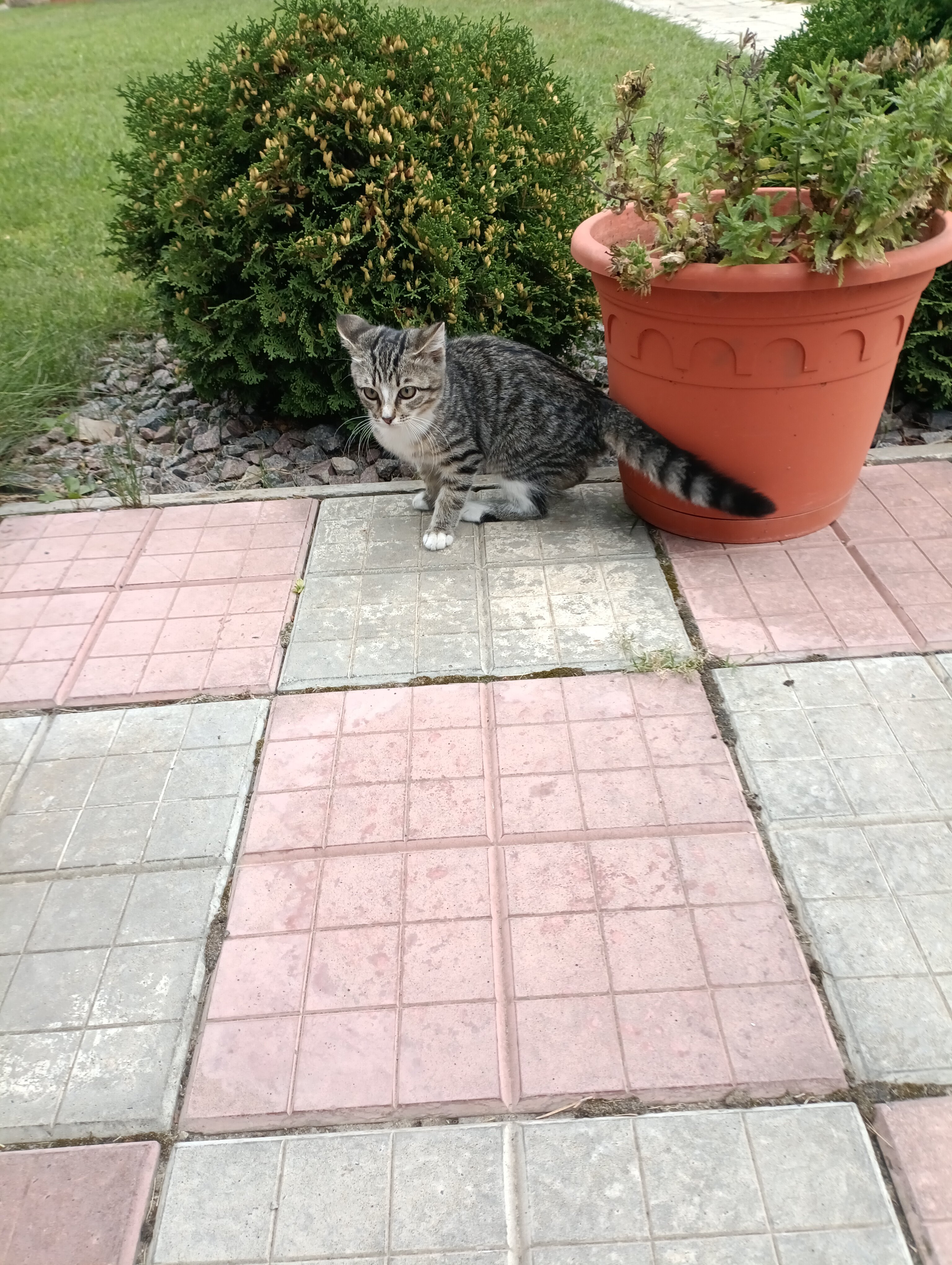 Фото На Заячьей поляне