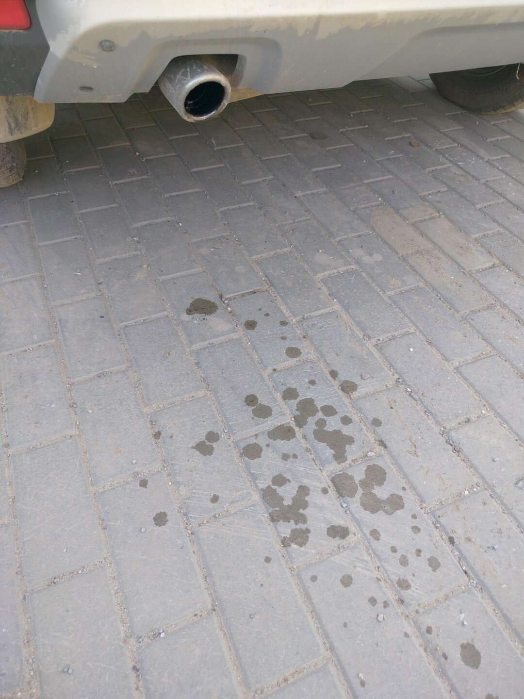 Фото Гостевой Дом