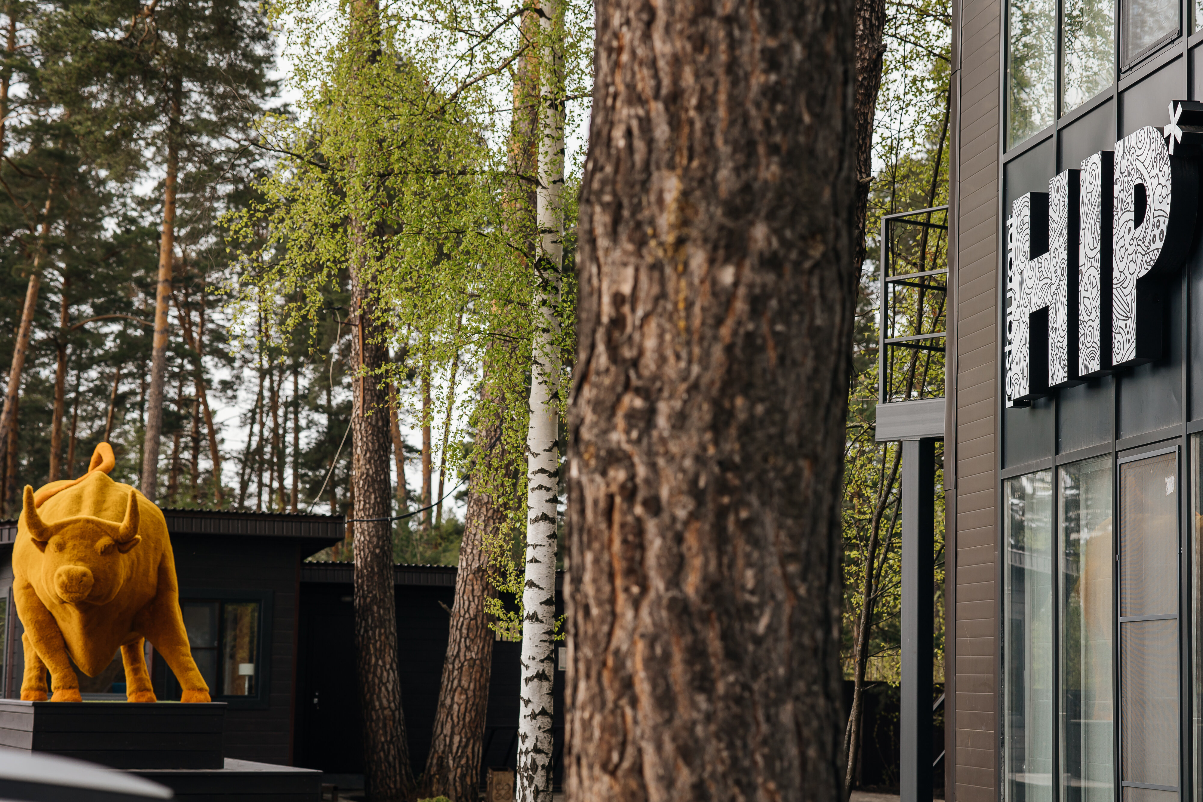 Фото отеля 5