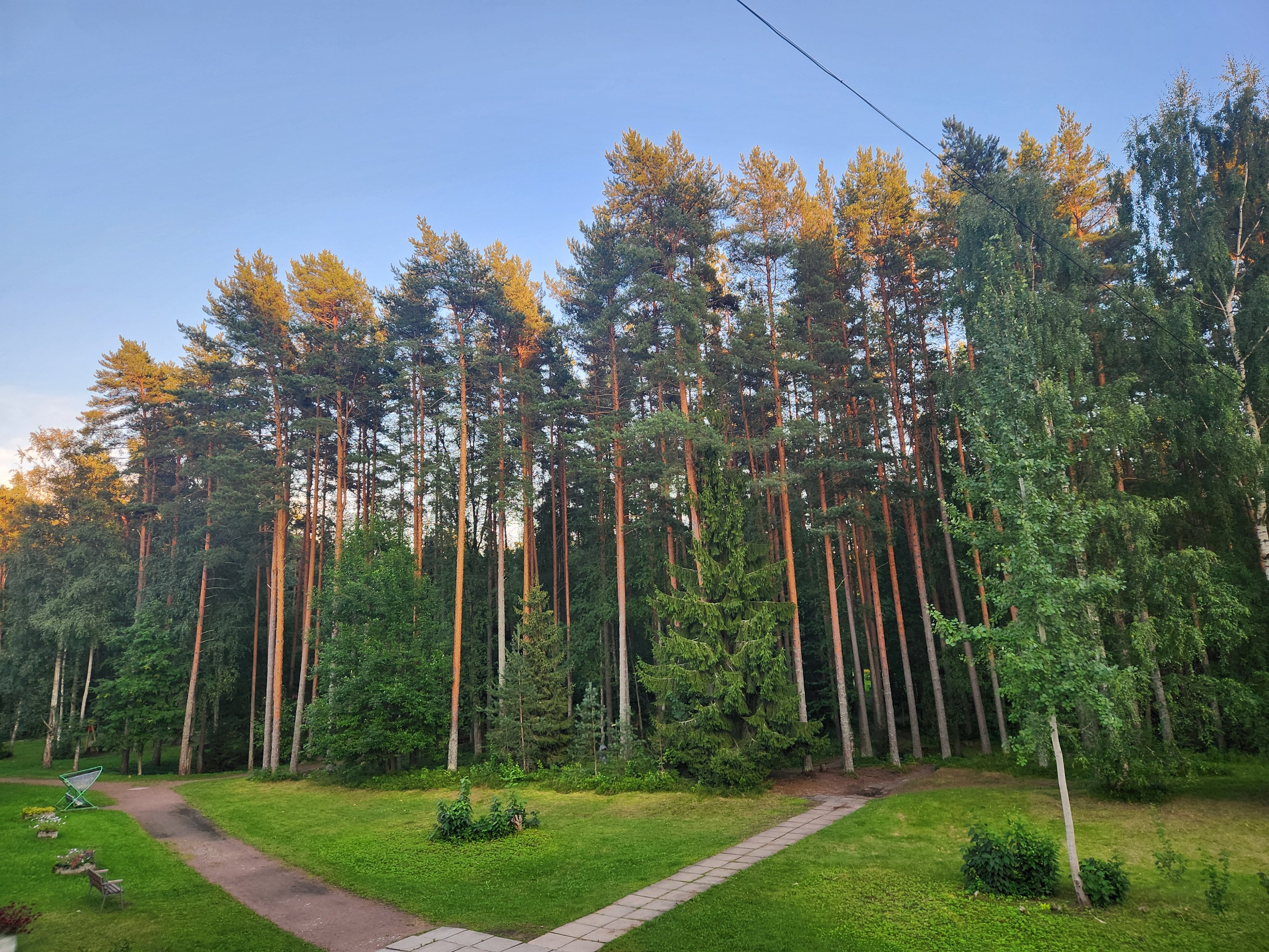 Фото Театральный