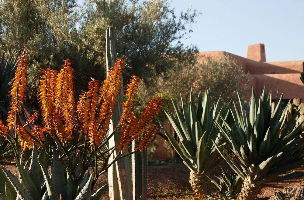 Фото Oasis Lodges