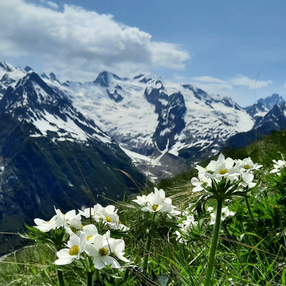 Фото Гостиница Алибек
