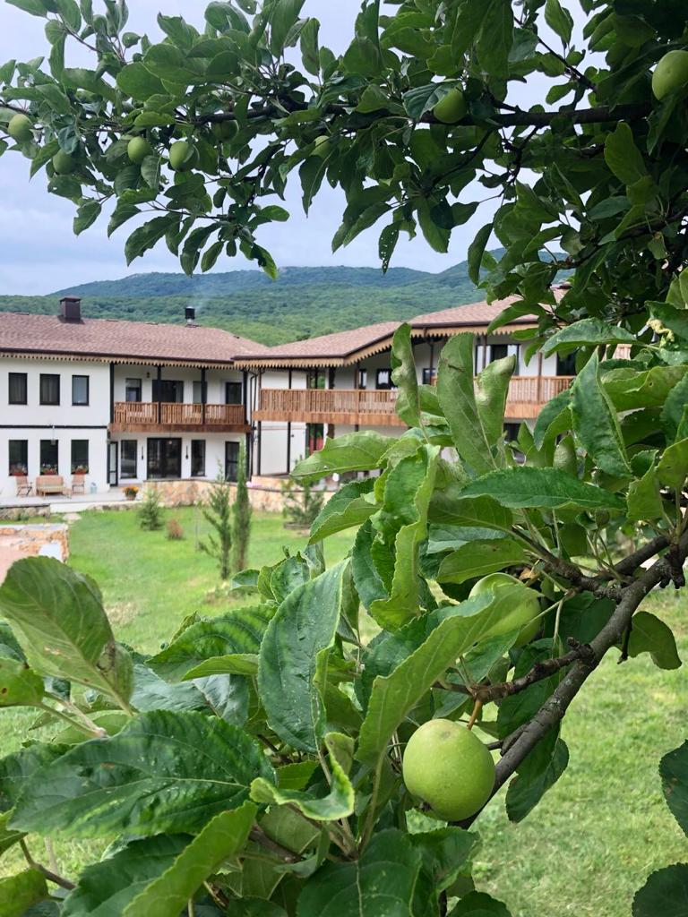 Фото Богатое ущелье