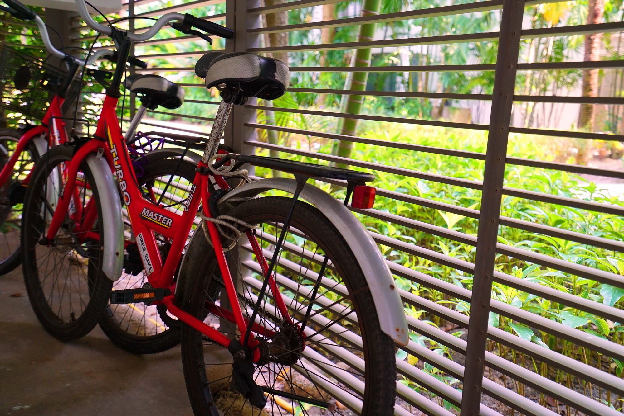 Фото Casuarina Shores Apart Hotel