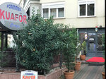 Formmed Plus (İstanbul, Kartal, Çanakkale Cad., 26A) ، مصففو الشعر