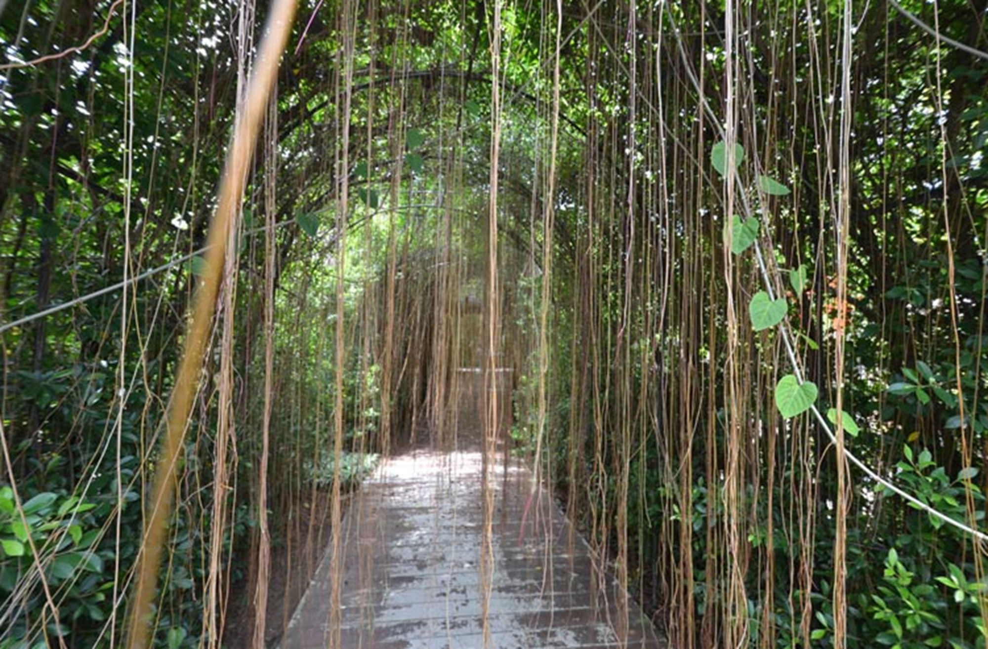 Фото Phuket Botanic Resort