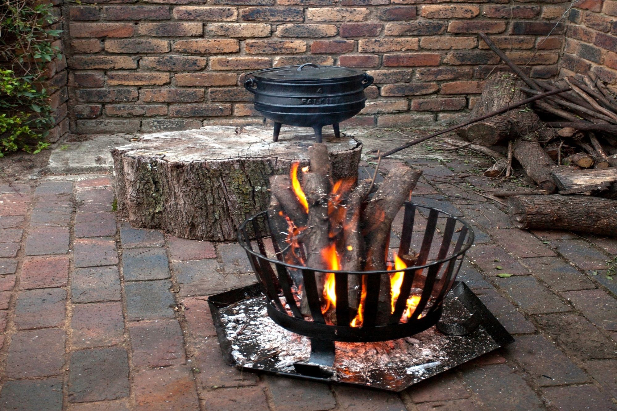 Фото Flamingo Rest