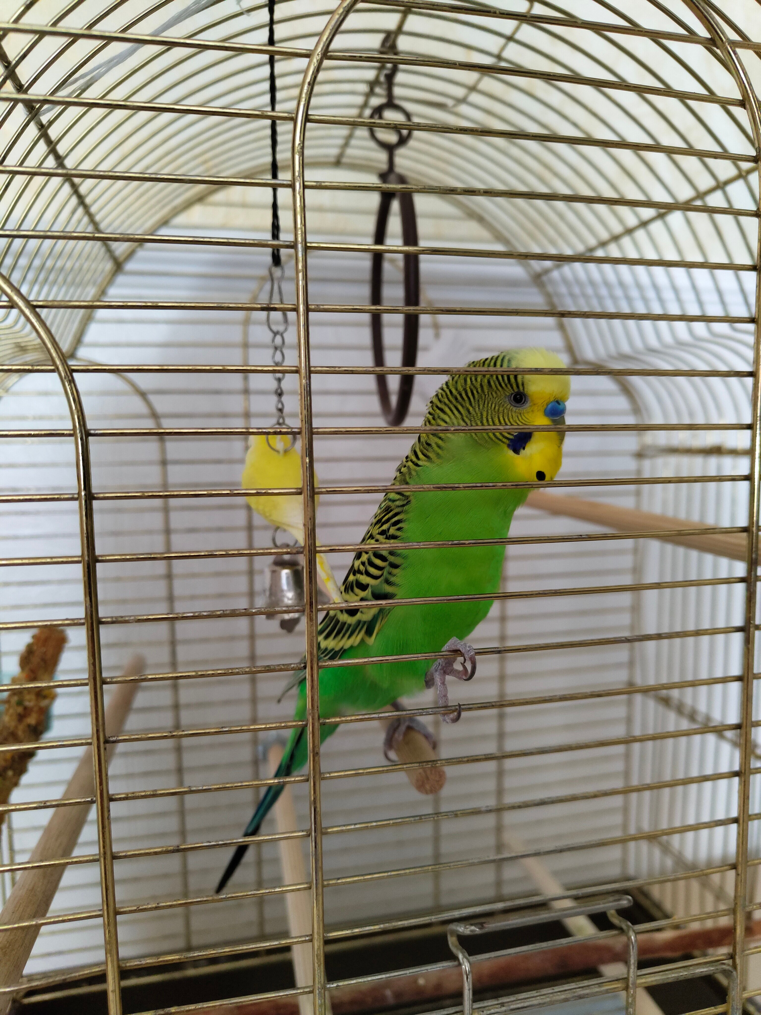 Фото Гранд Тамбов