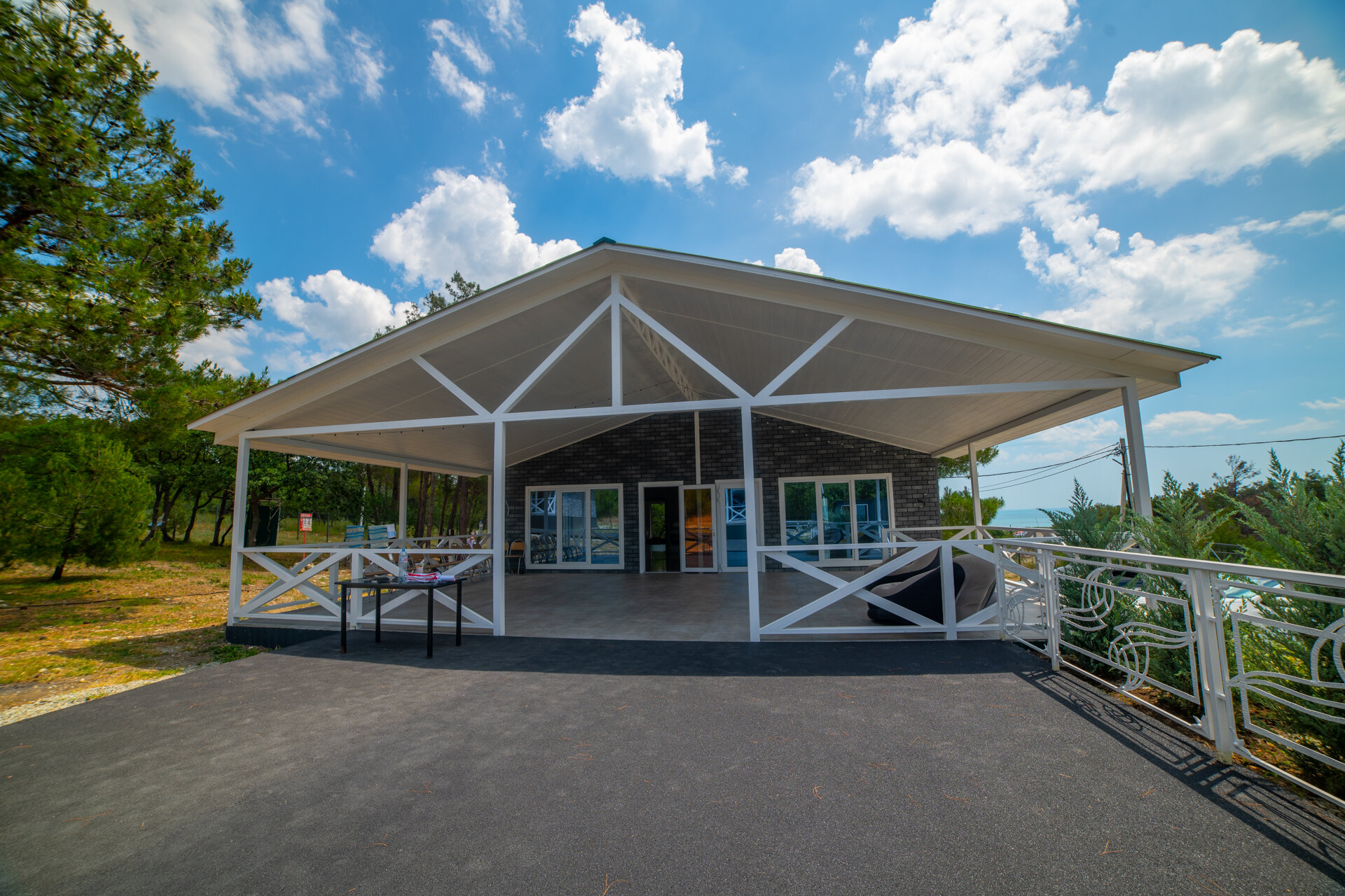 Фото Елки и Иголки