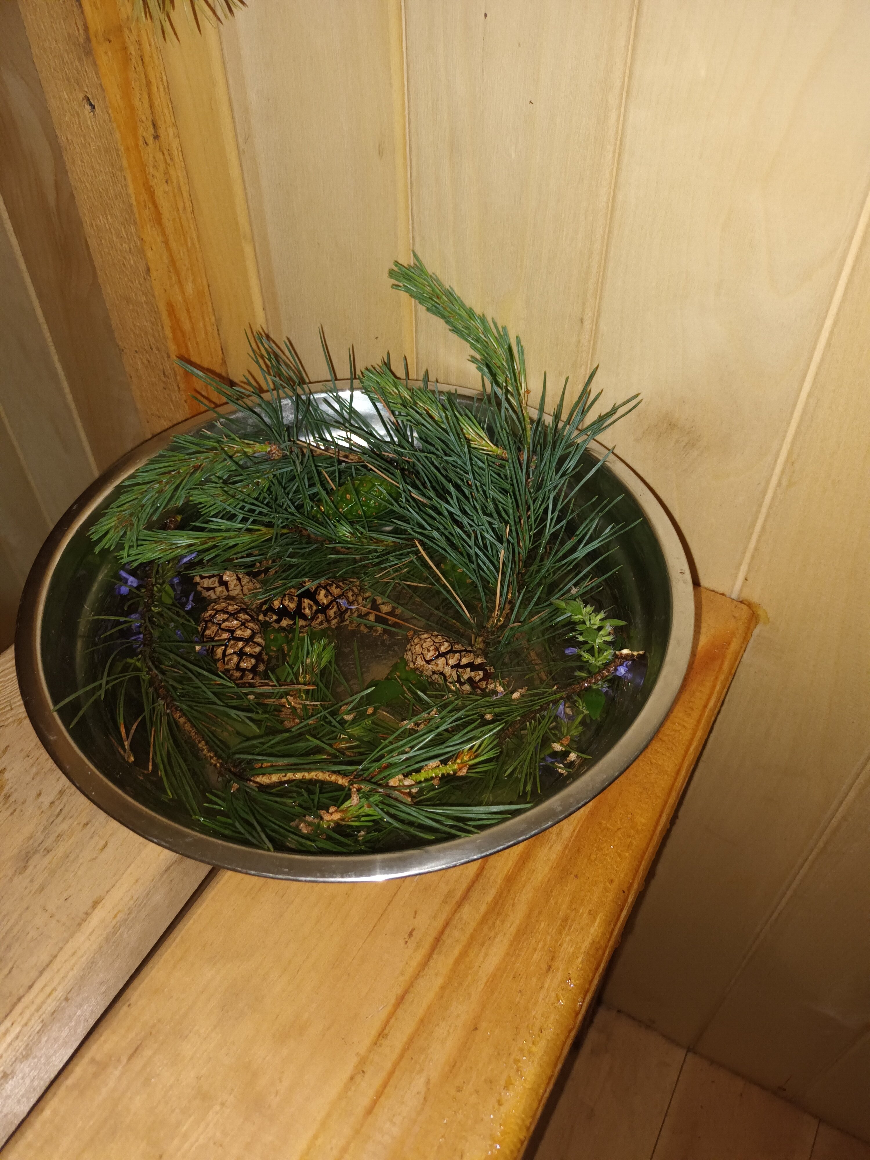 Фото Ёлкин Двор