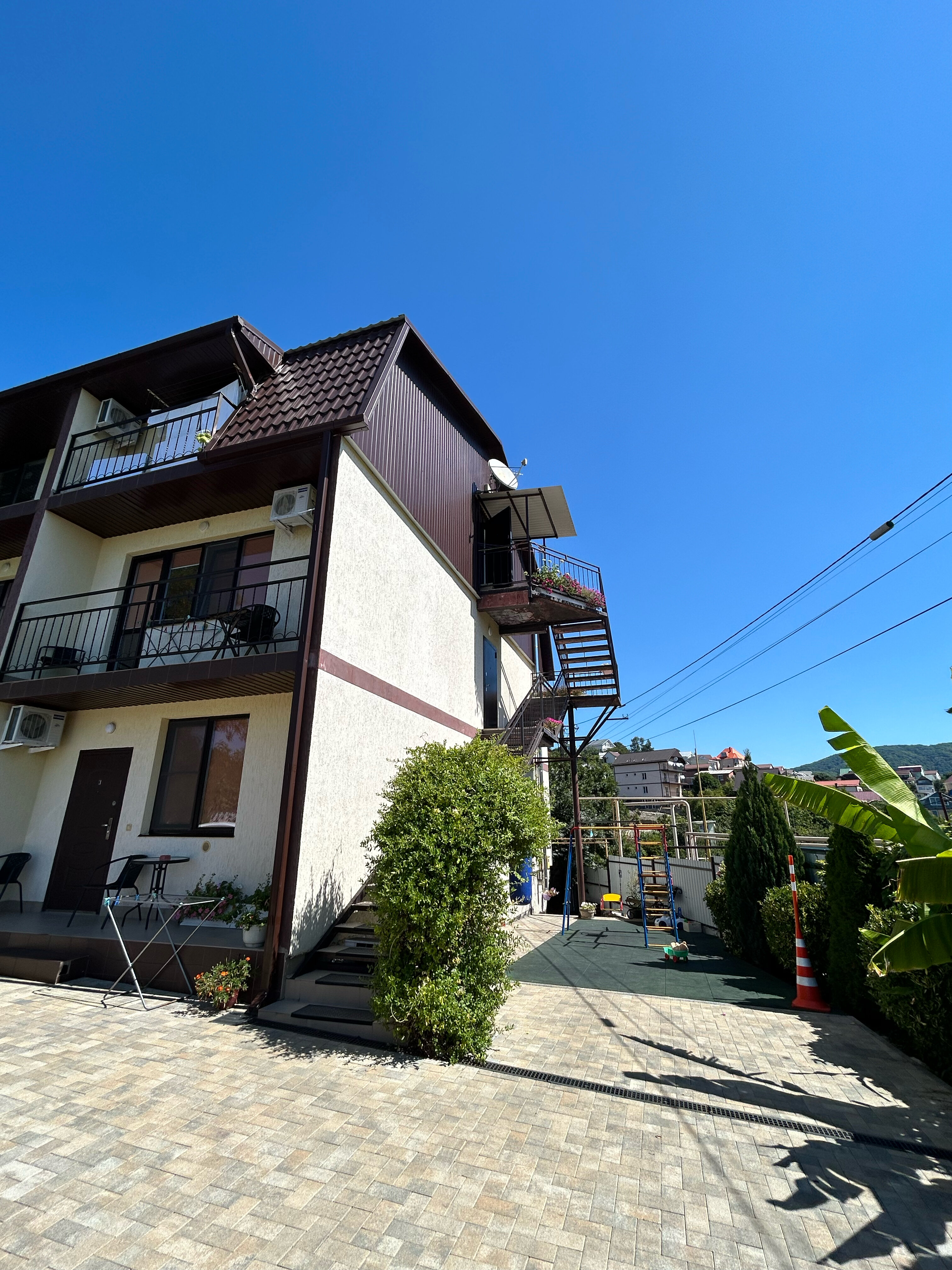 Фото Колибри