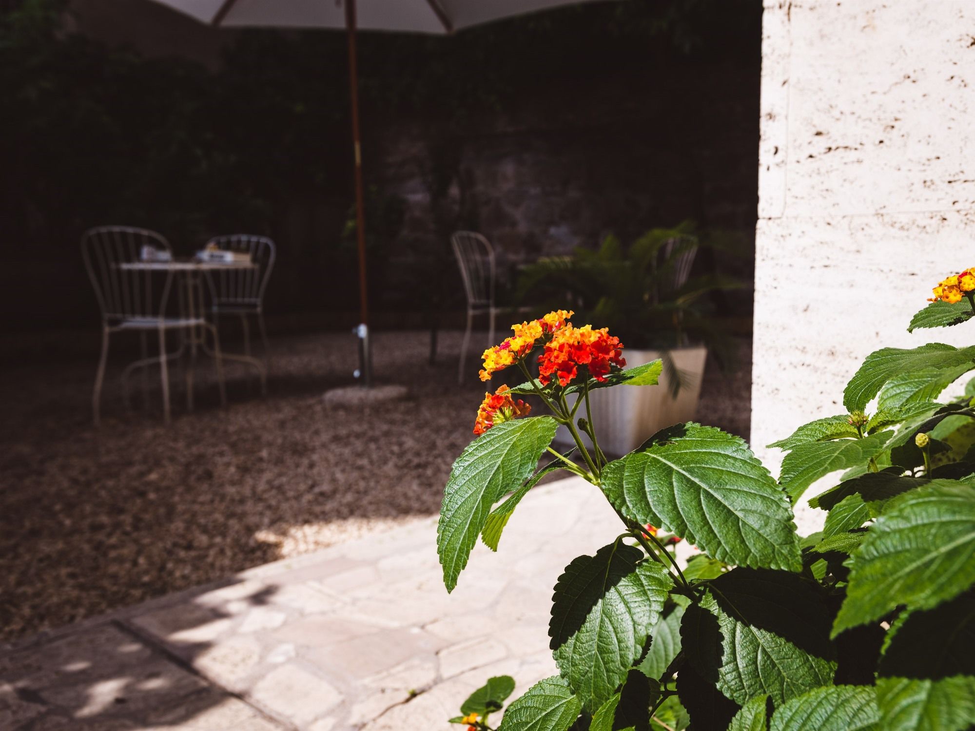 Фото Relais Circo Massimo