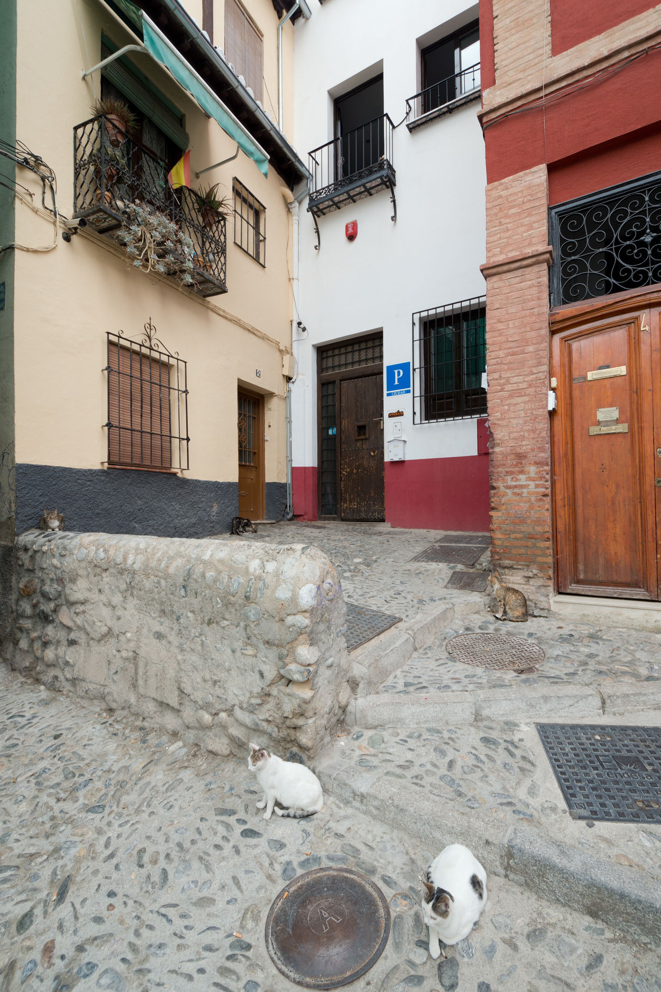 Фото Oasis Backpackers Hostel Granada