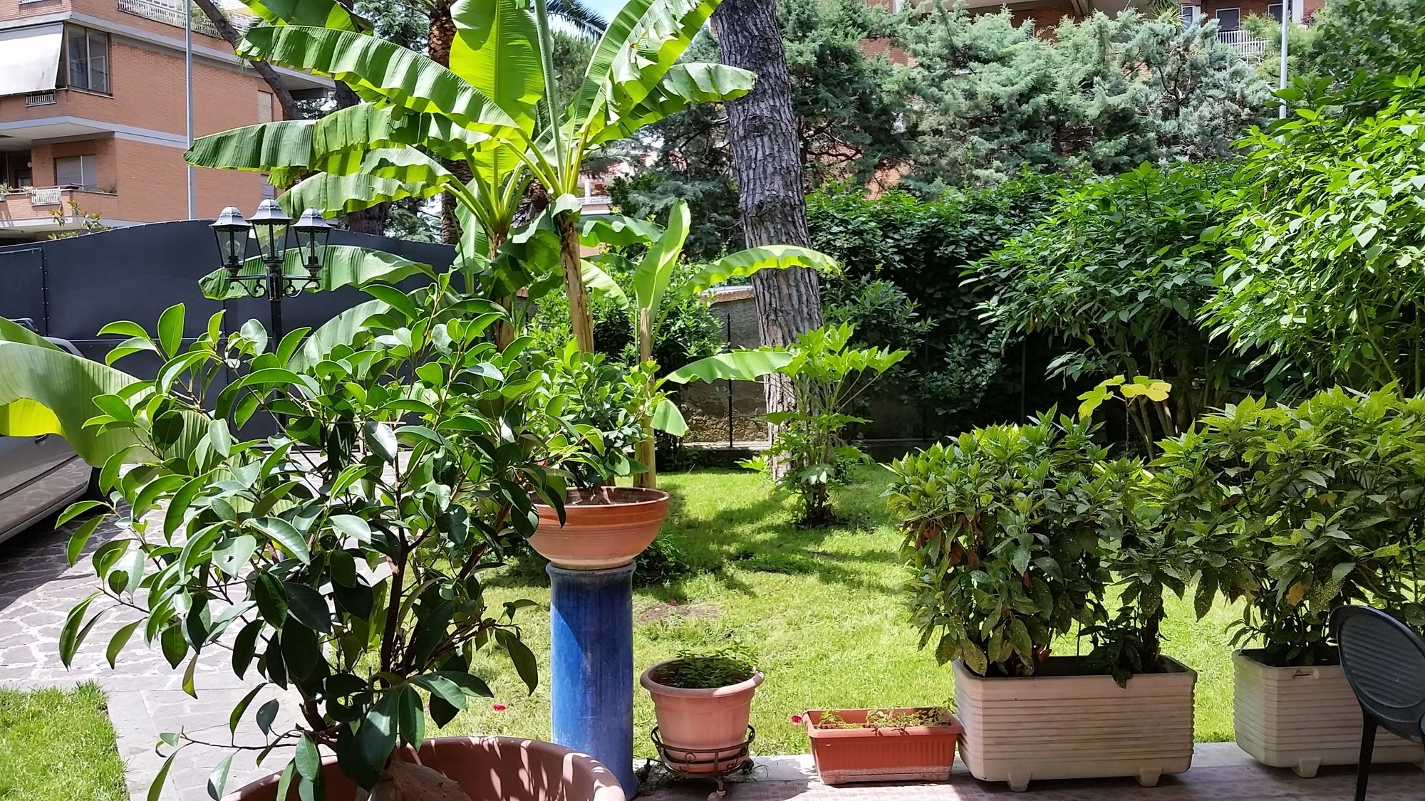 Фото Il Giardino di Giulia 2