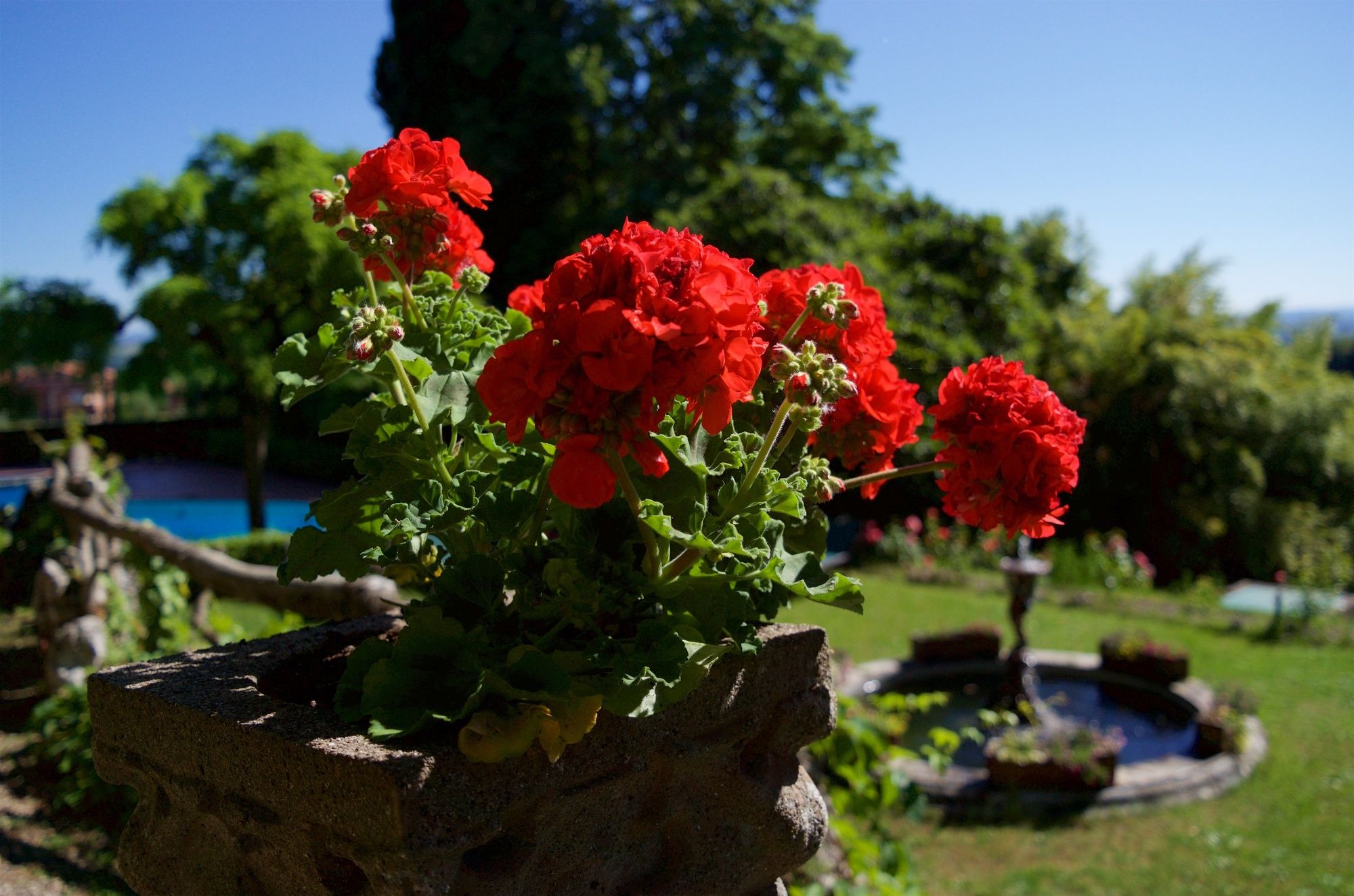 Фото Hotel Villa Scacciapensieri