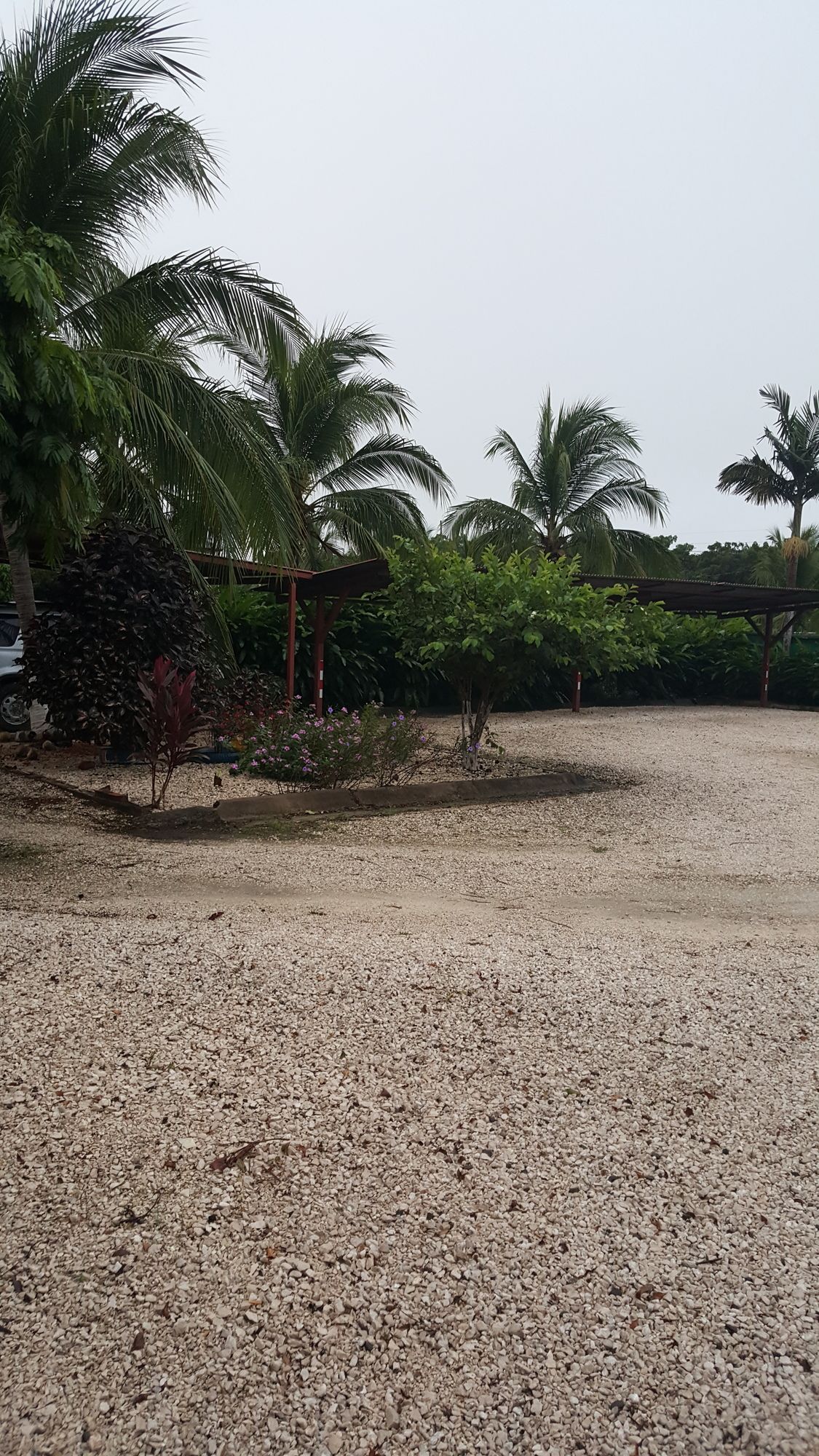 Фото Hotel La Arena