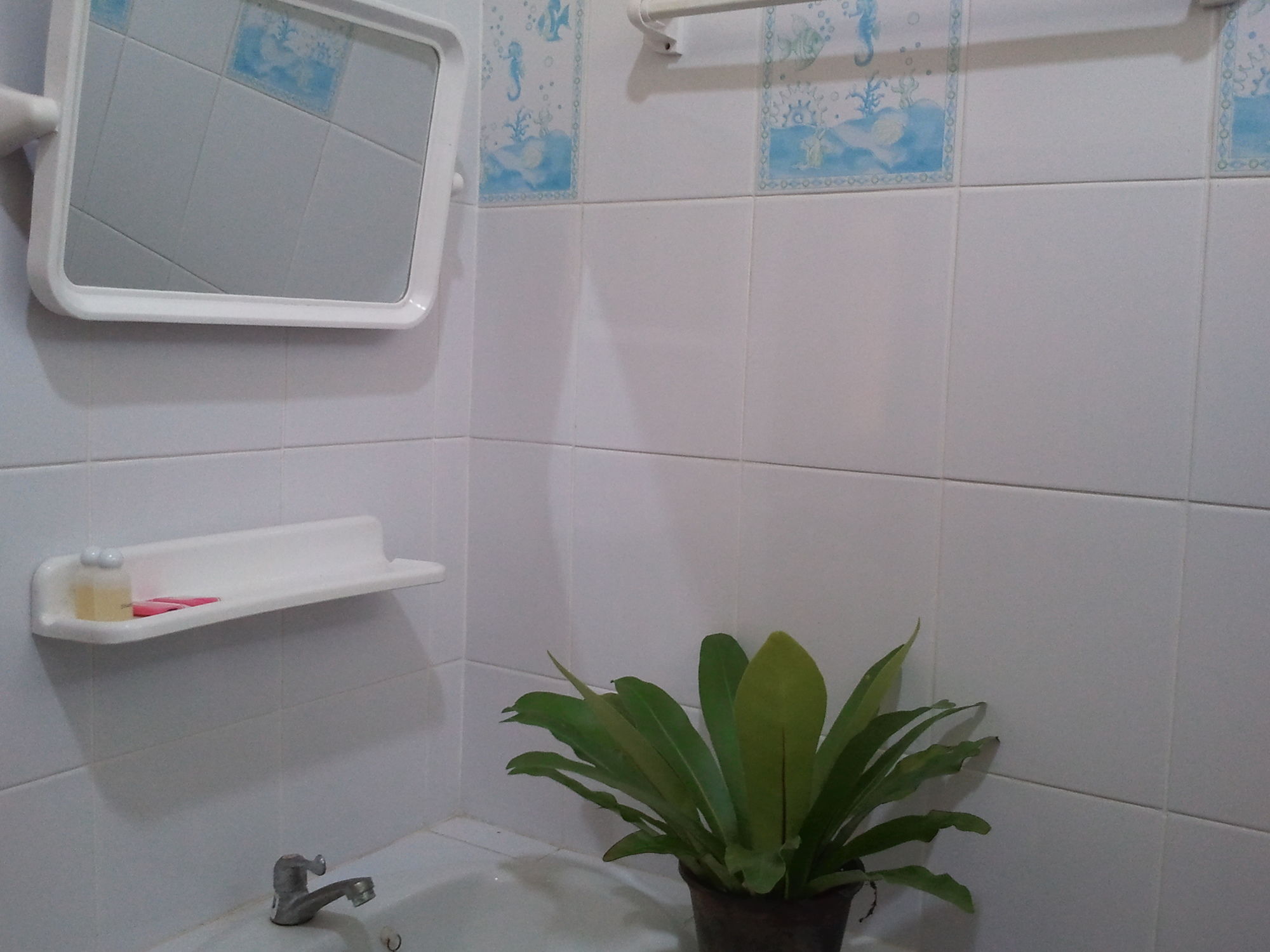 Фото Krabi Discovery Resort