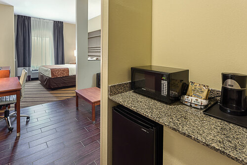 Гостиница Comfort Suites near Tanger Outlet Mall в Гонсалесе