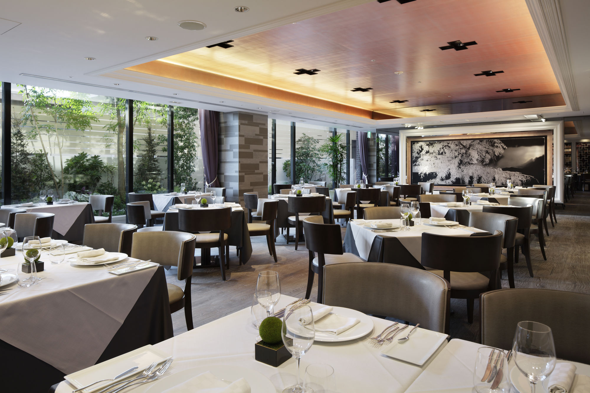 Фото Kyoto Century Hotel